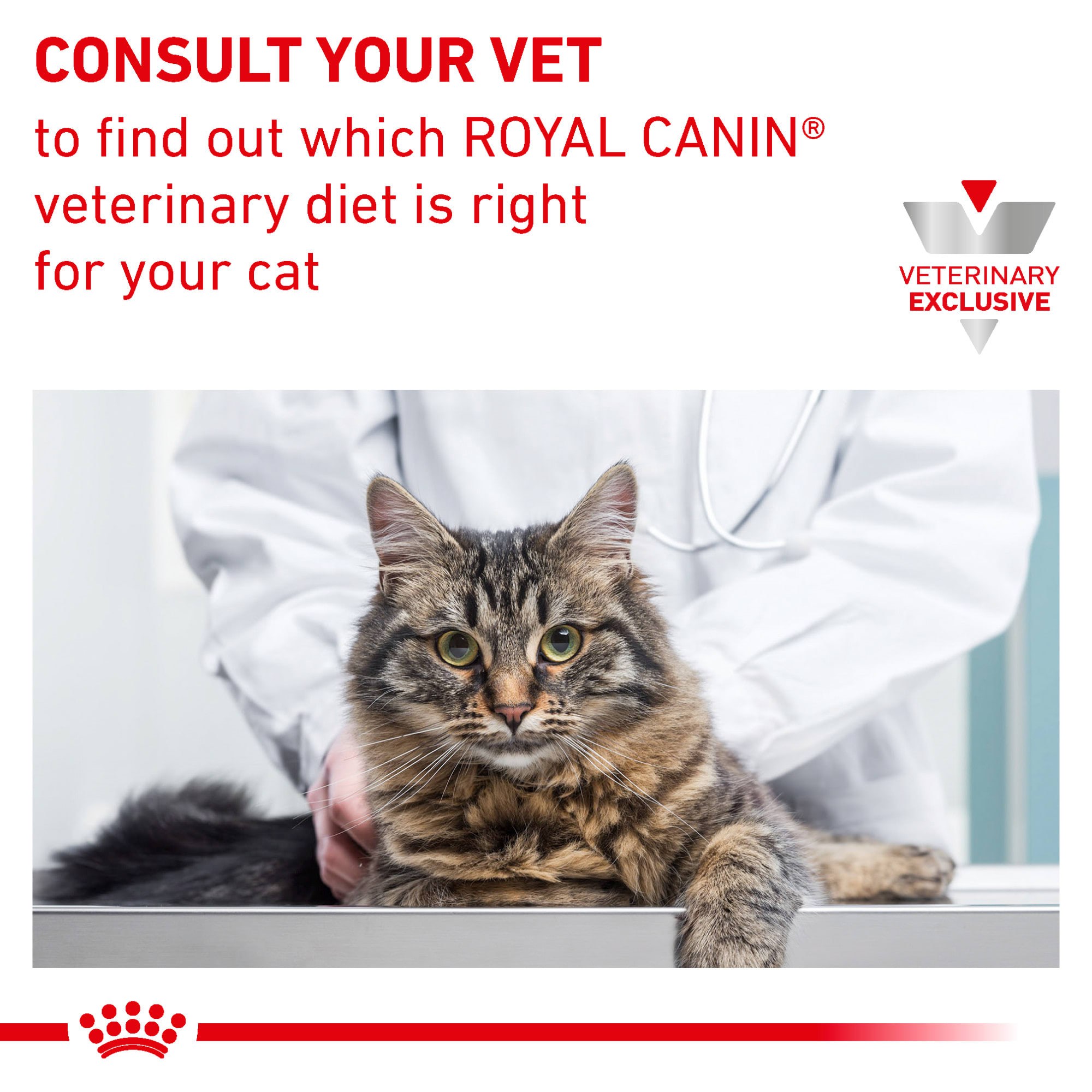 ROYAL CANIN VETERINARY DIET Adult Dental Dry Cat Food, 7.7-lb bag 