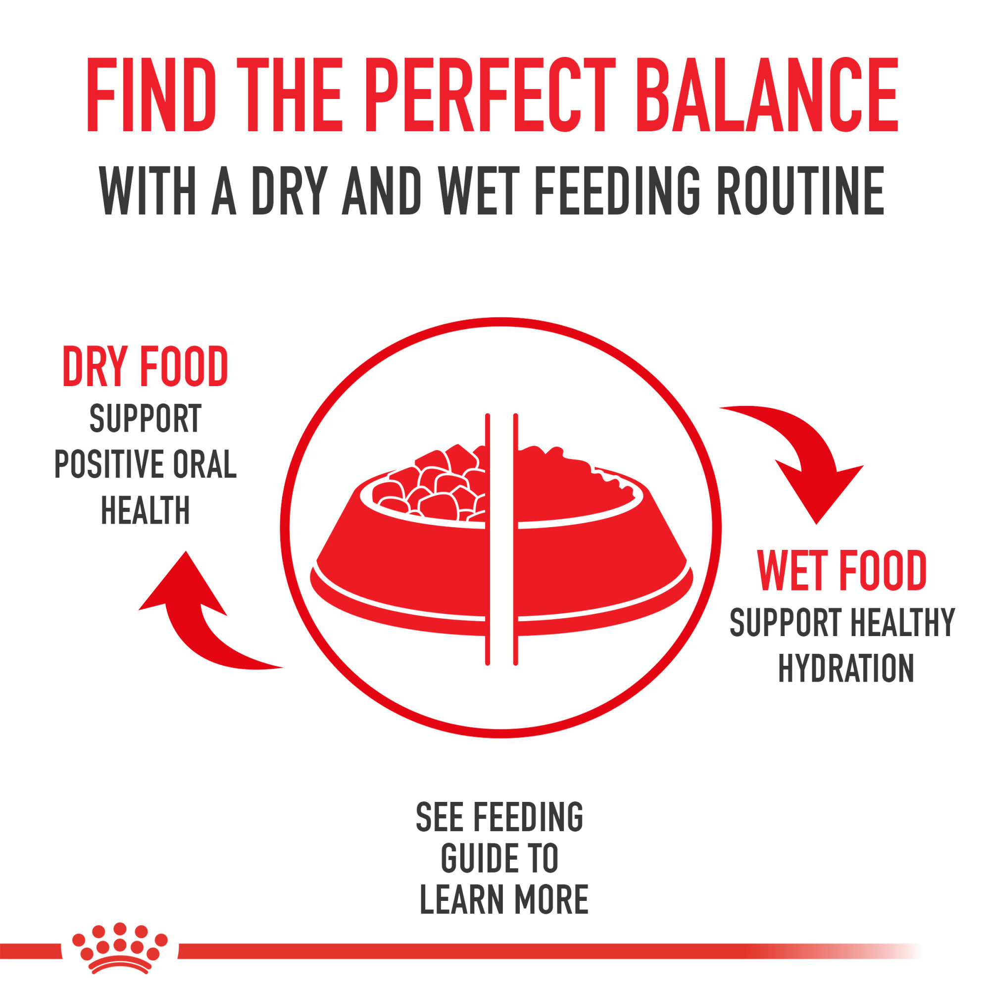 Royal Canin Vet Diet Renal Support D Wet Cat Food, 3 oz., 24 Ct. | Petco