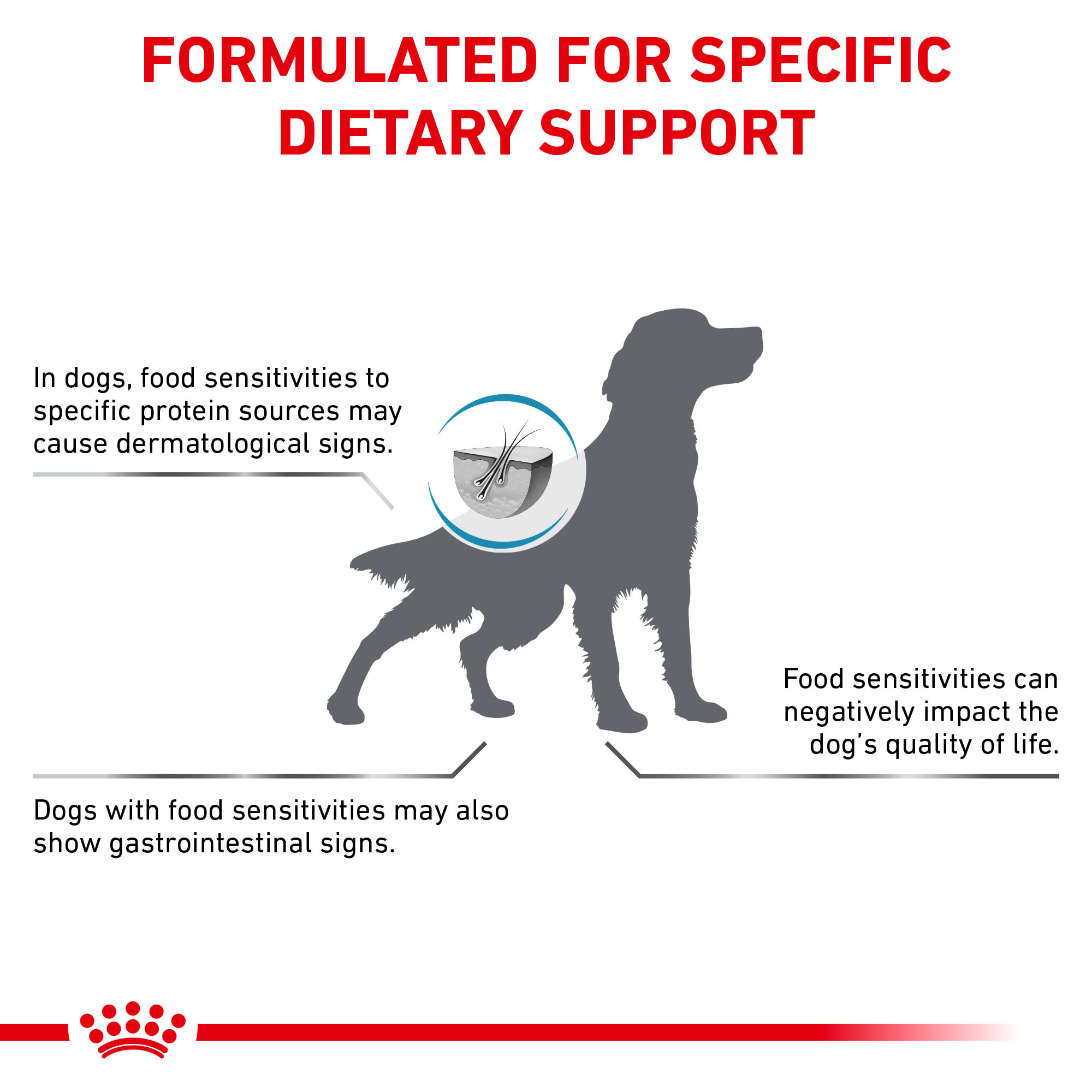 Royal Canin Recovery for Dogs/Cats - Vetopia Online Store – VetSPLY