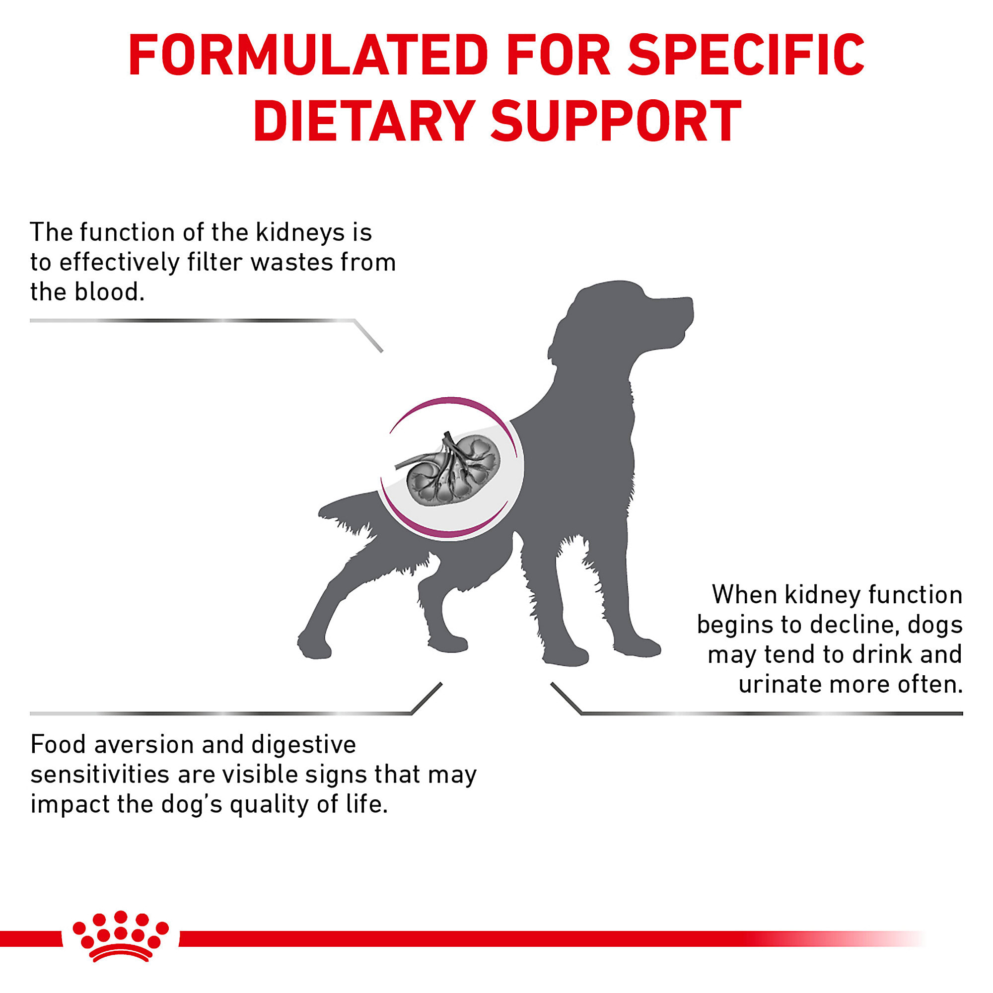 Royal Canin Veterinary Diet Renal Support S Savory Dry Dog Food 17 6 Lbs Petco