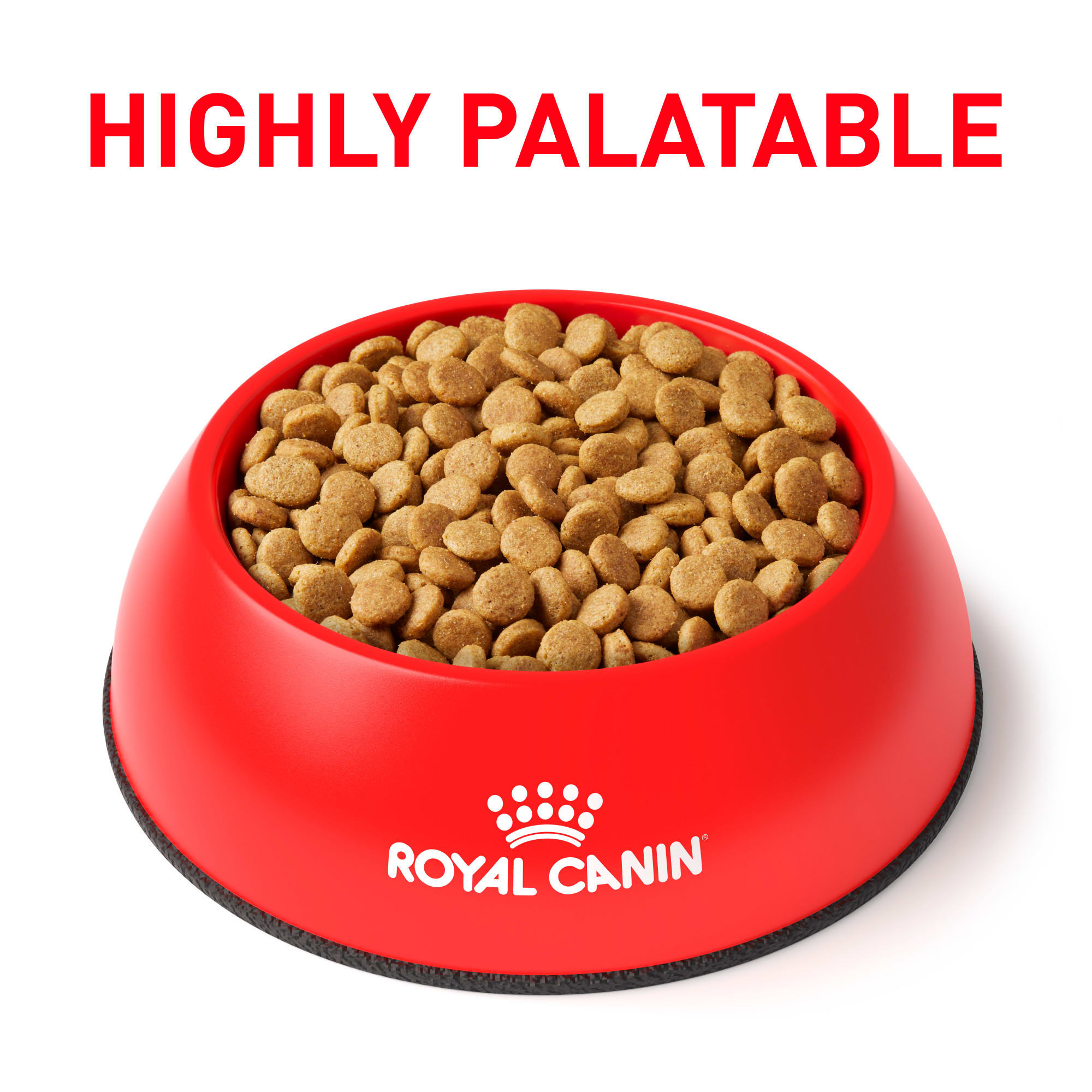 Royal Canin Veterinary Diet Gastrointestinal High Fiber Dry Dog