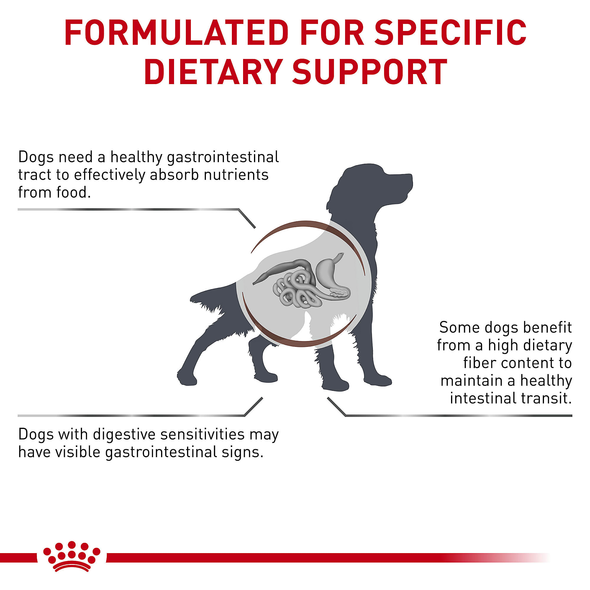Royal canin gi fiber response dog sales