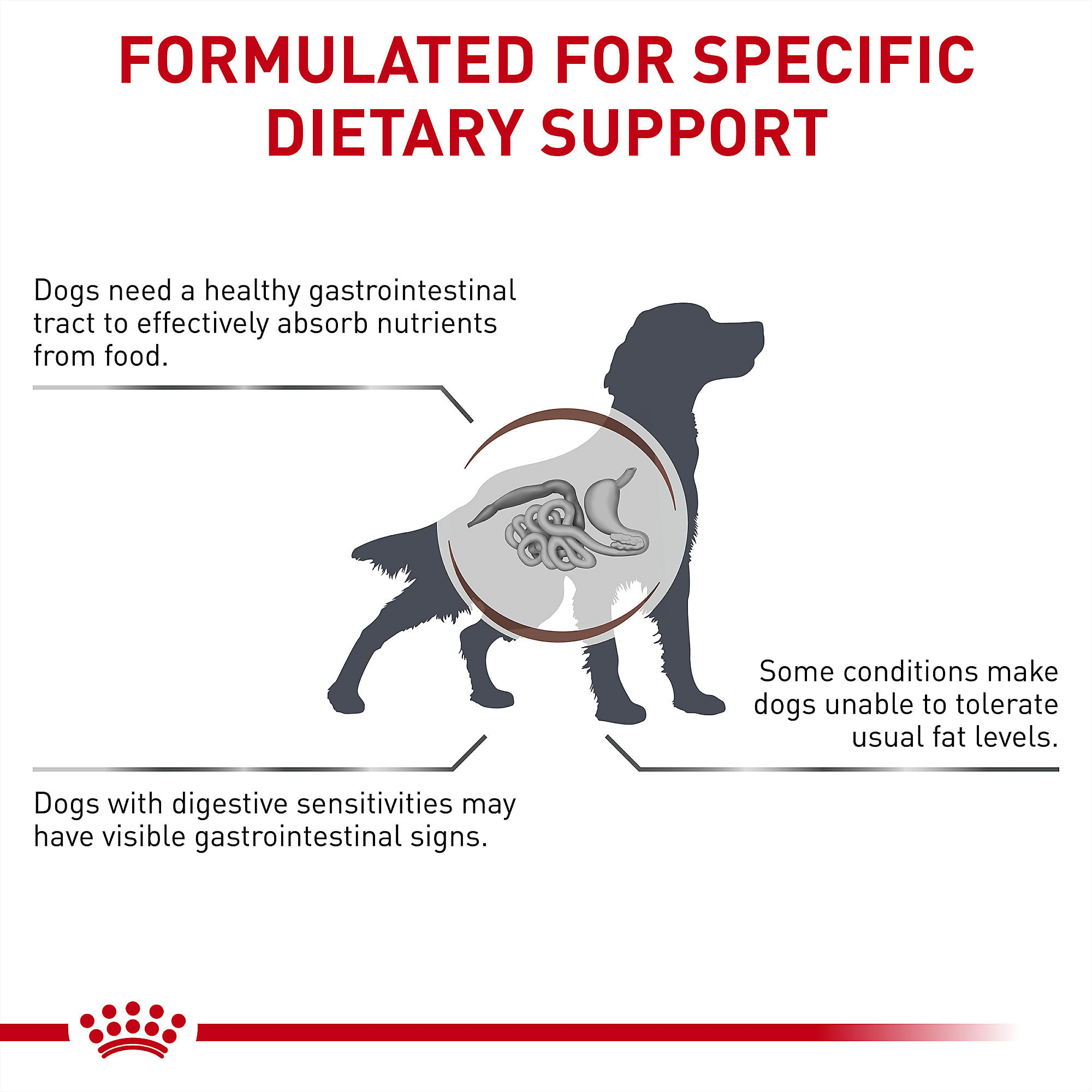 Petco royal canin clearance gastrointestinal