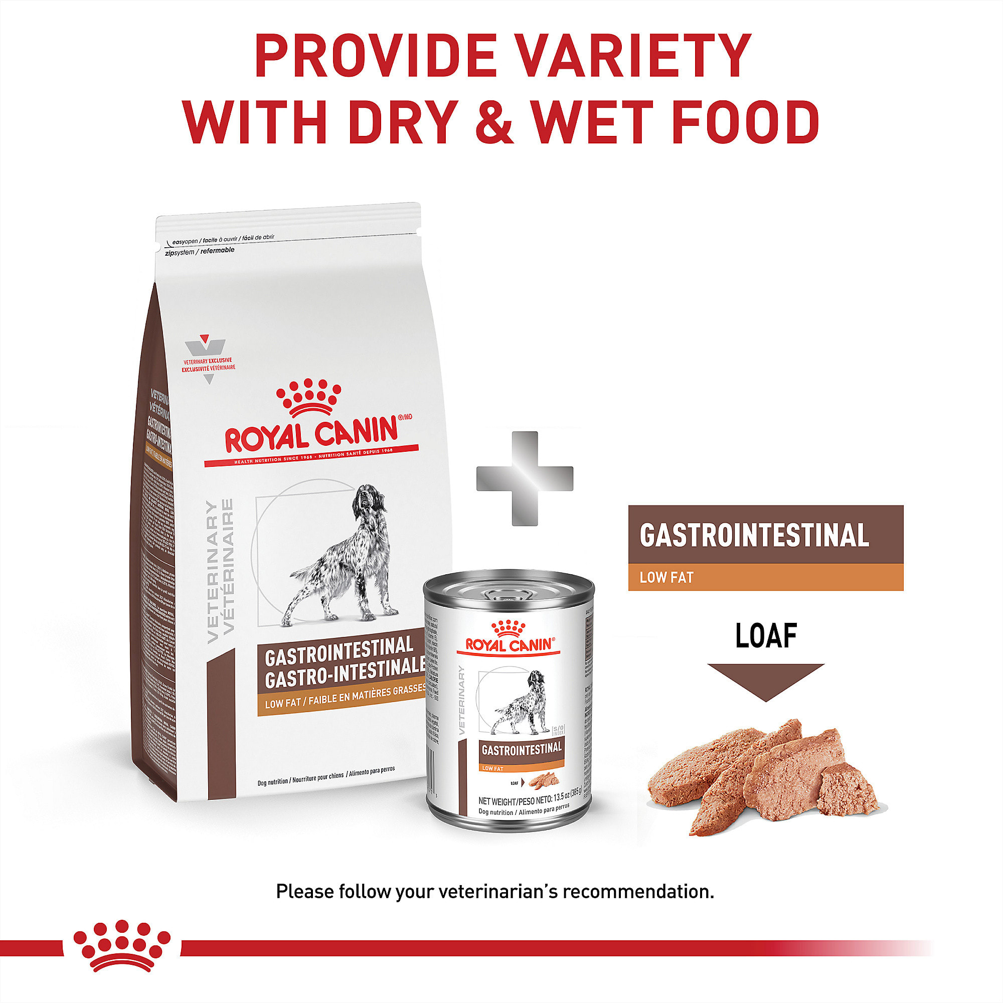 Gastrointestinal low hotsell fat dog food