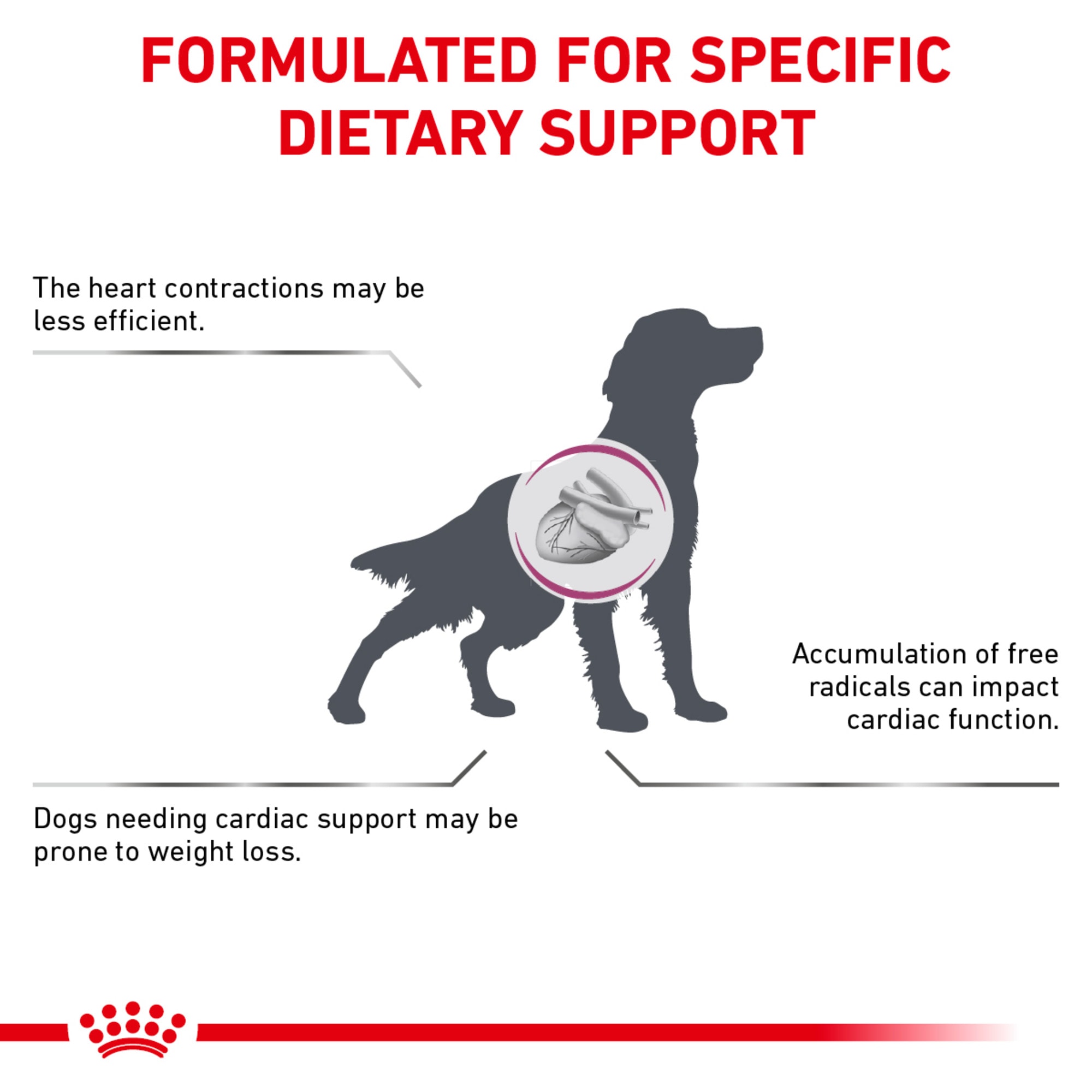Royal canin early cardiac petco store