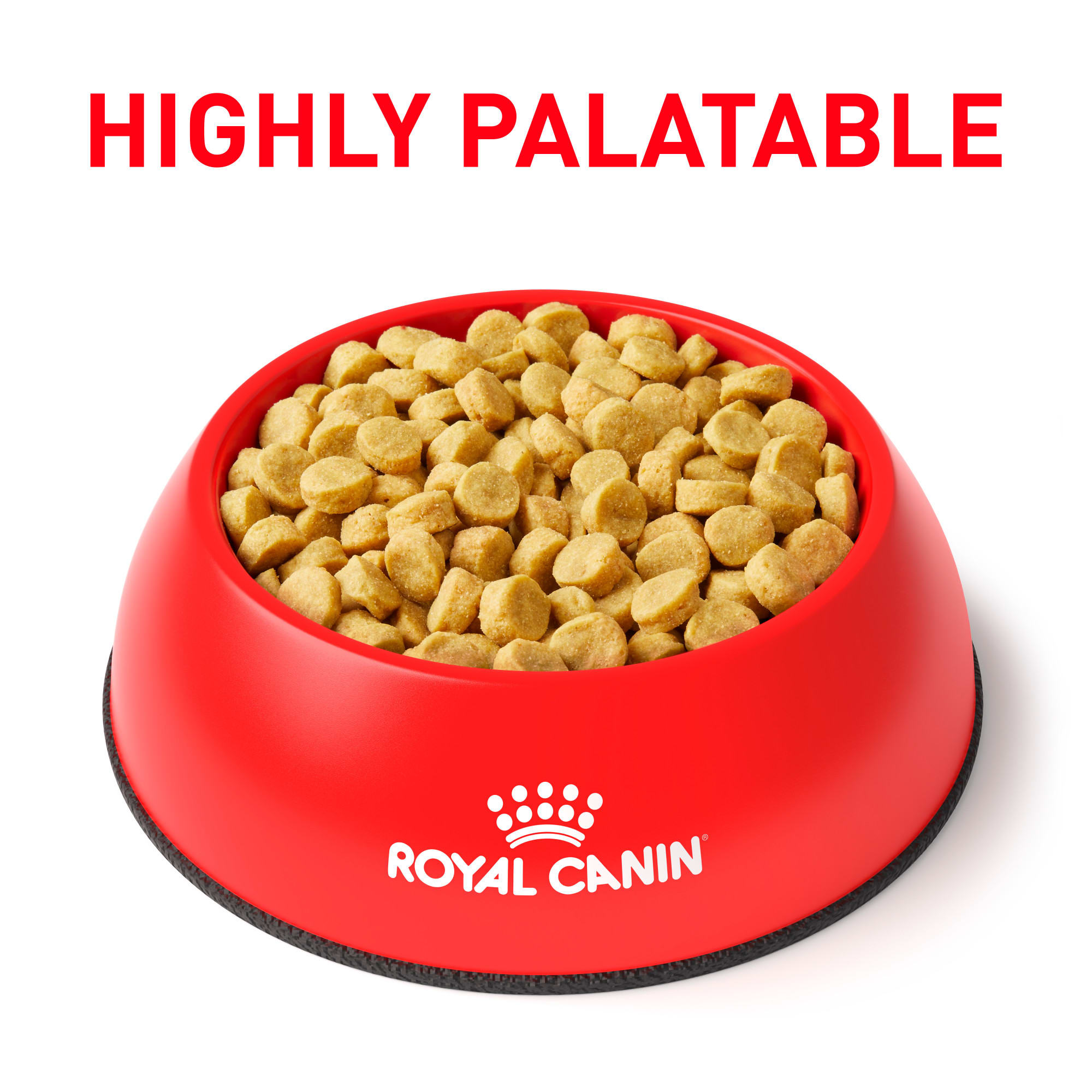 Royal canin vegetarian outlet dog food