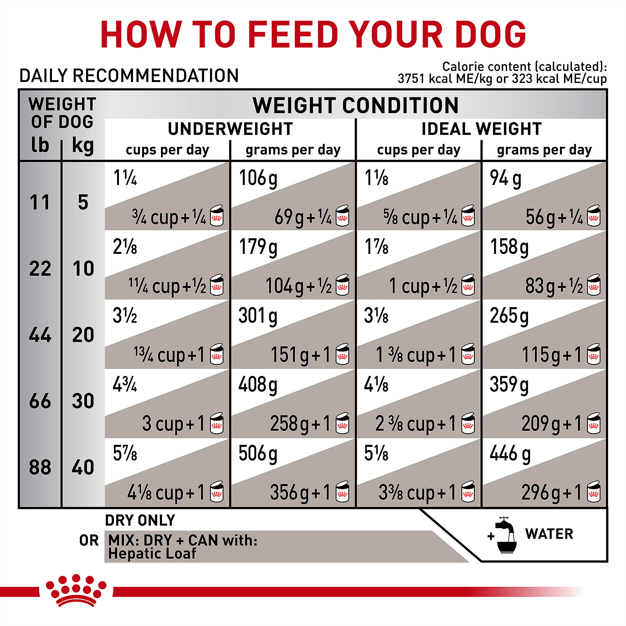 Mrx rc canine hepatic best sale
