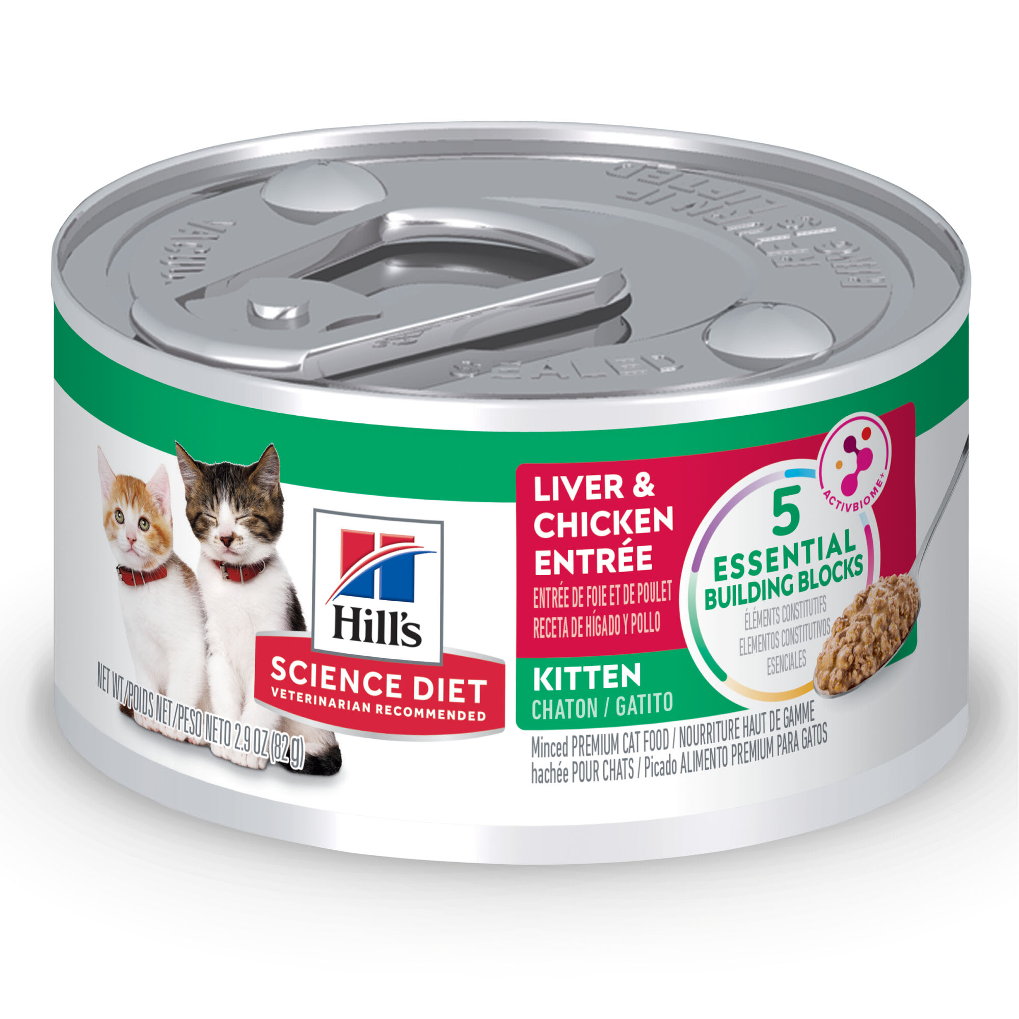 Can kittens clearance eat canned food