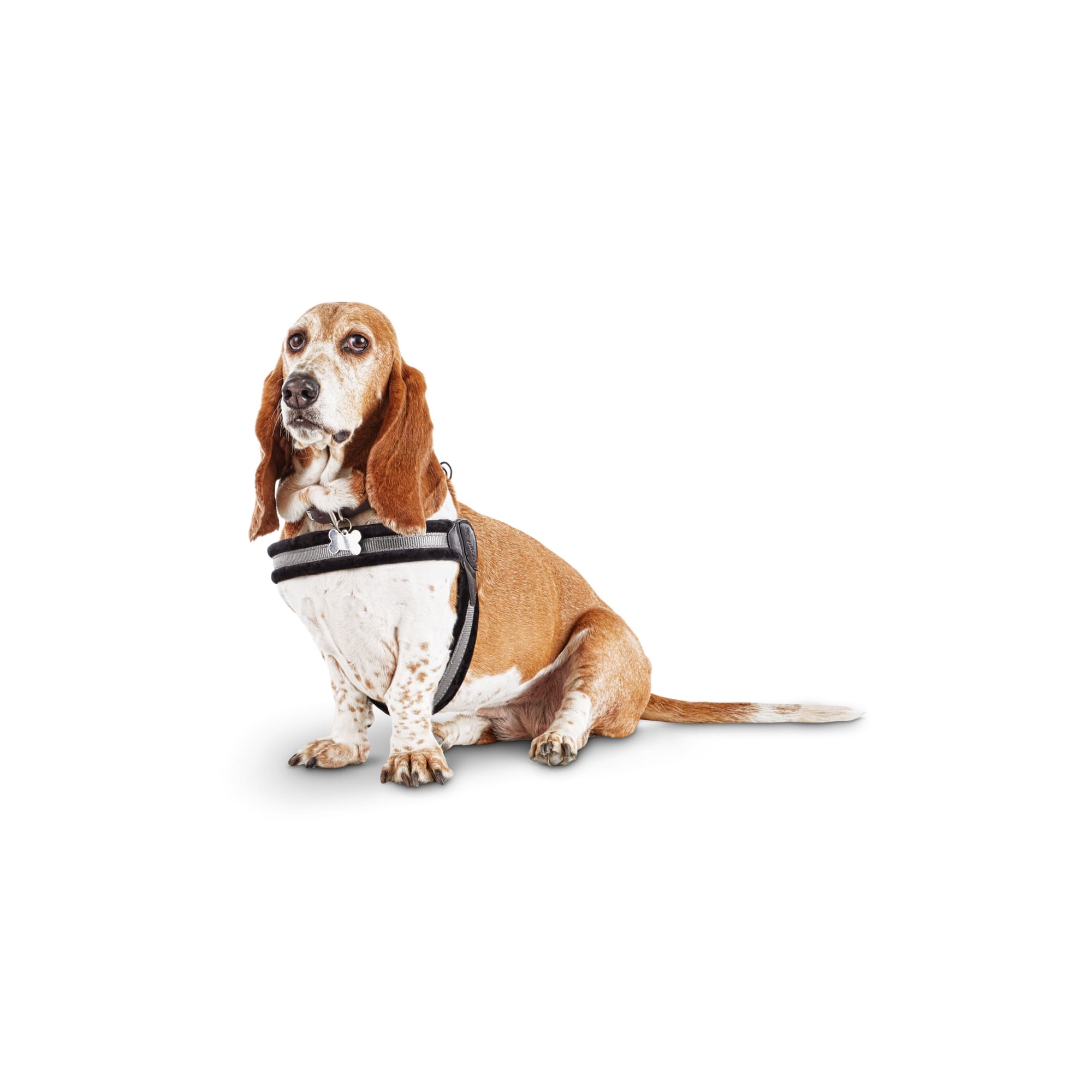 Good2Go Quick-Fit Dog Harness, X-Large 