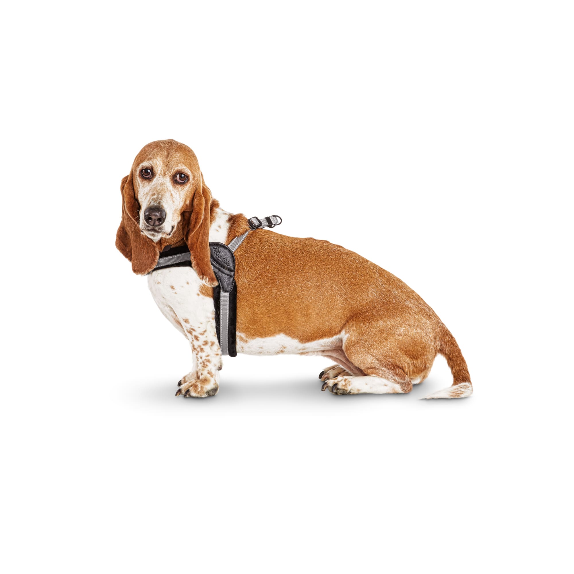 Good2go comfort clearance harness