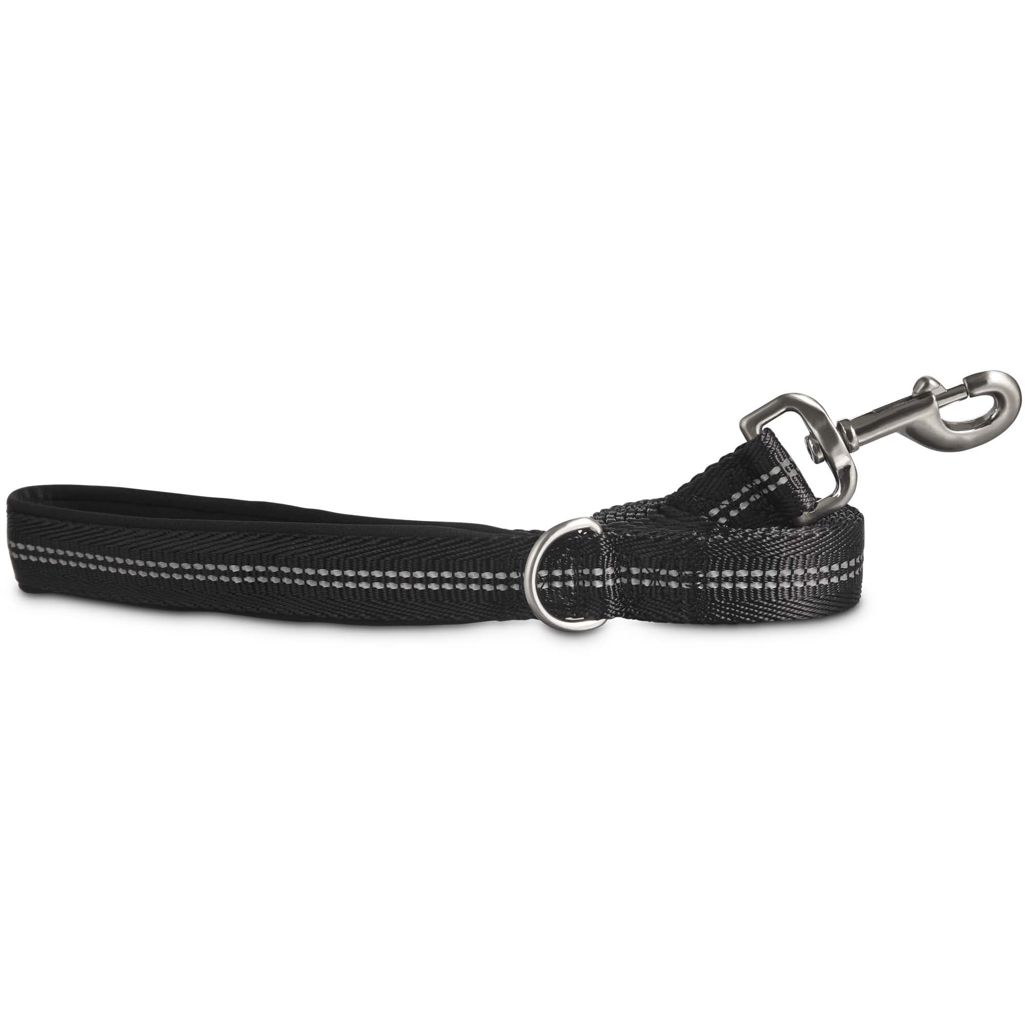 reflective leashes and collars