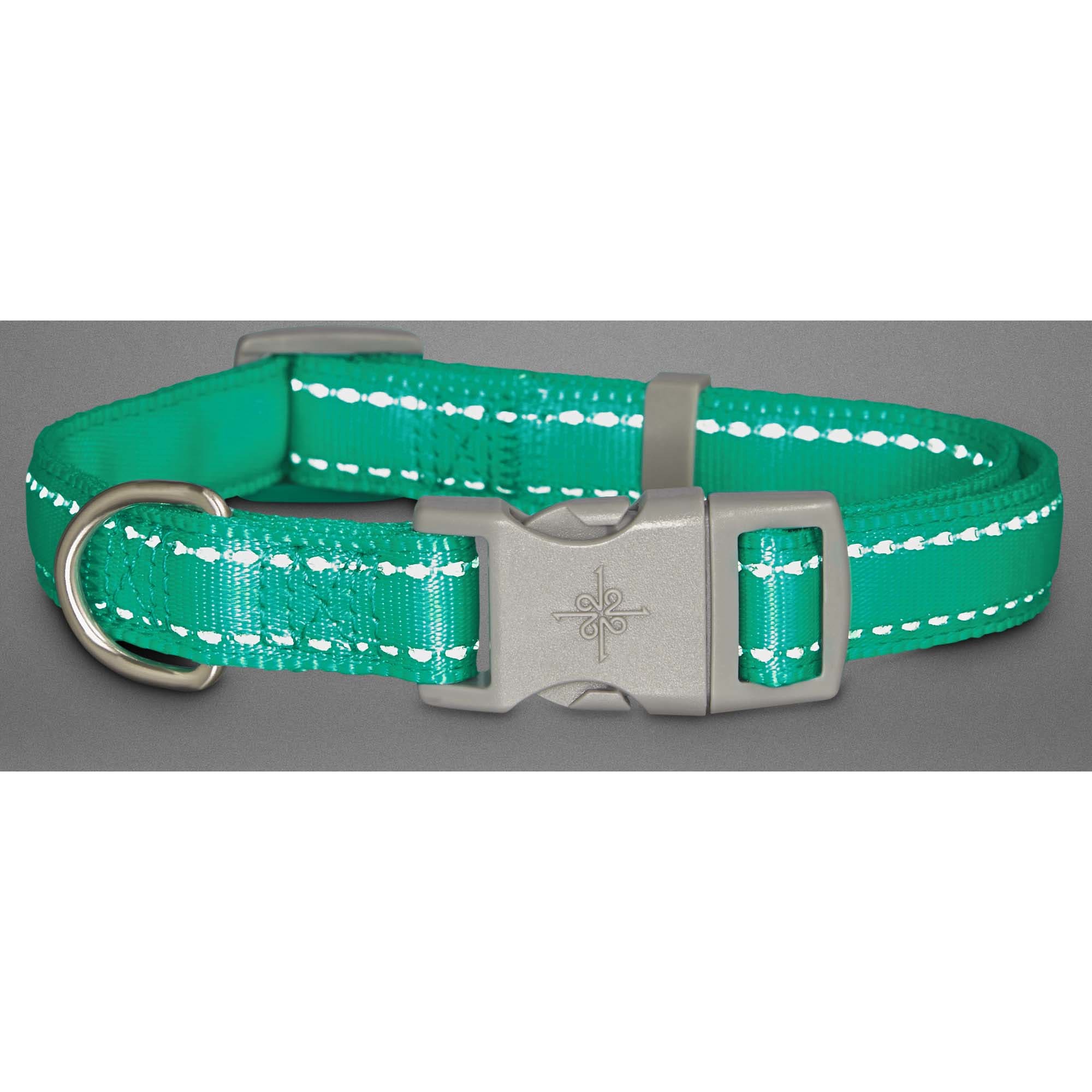 Good2Go Reflective Adjustable Padded Dog Collar in Turquoise