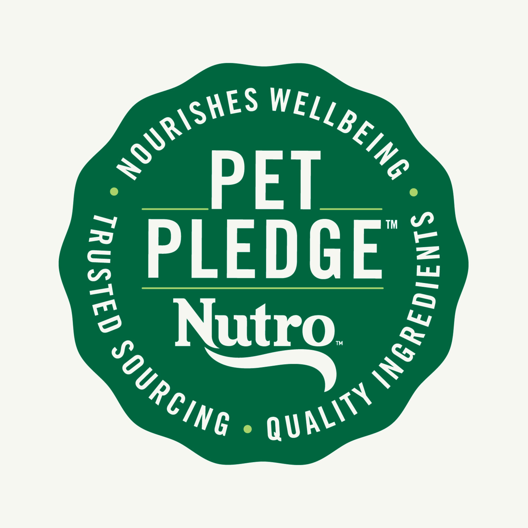 Petco nutro dog food best sale