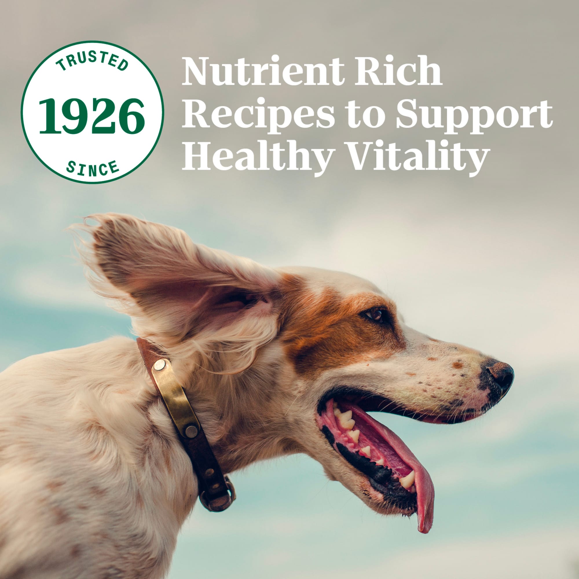 Petco nutro 2025 dog food