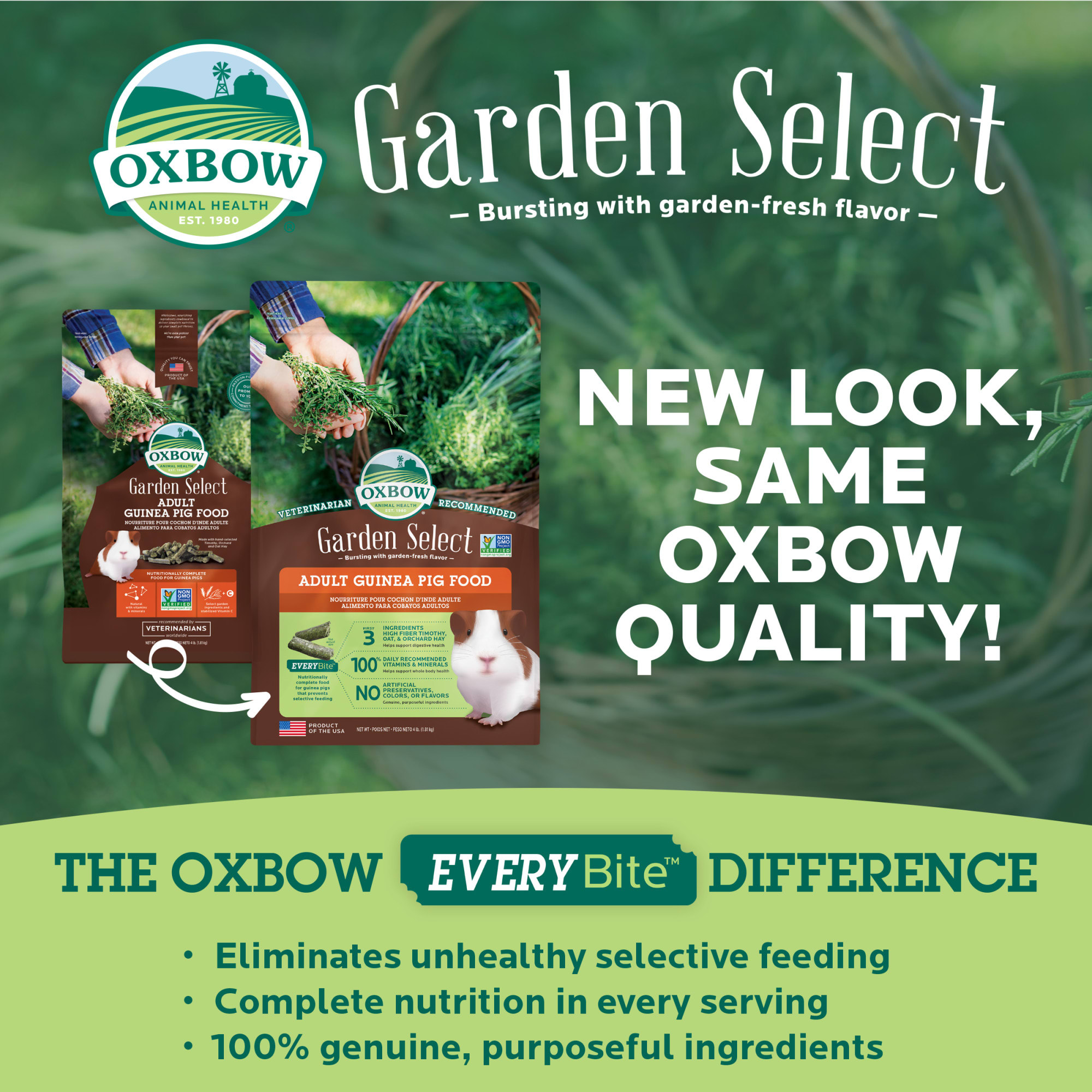 Petco oxbow best sale guinea pig food