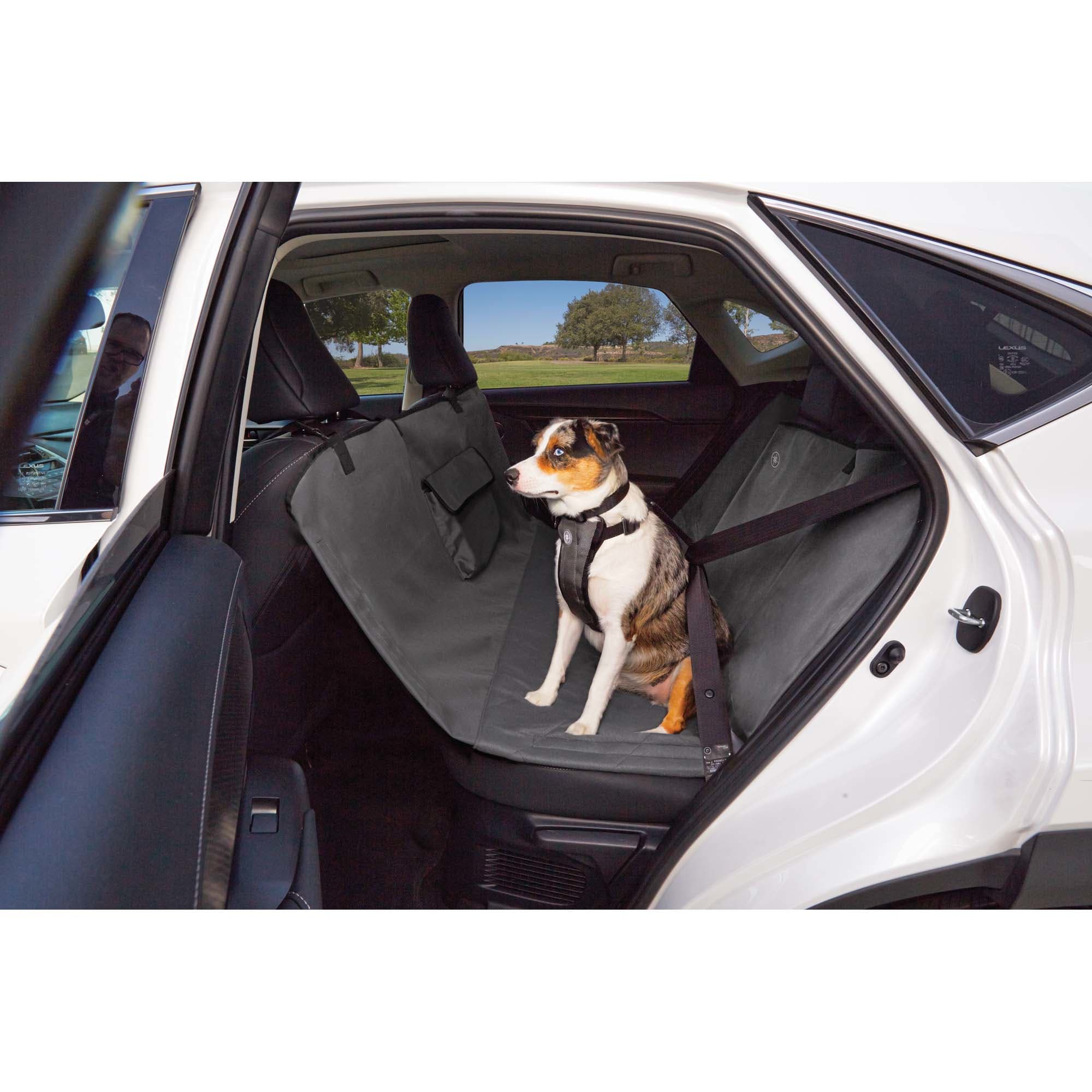 dog car harness crash tested