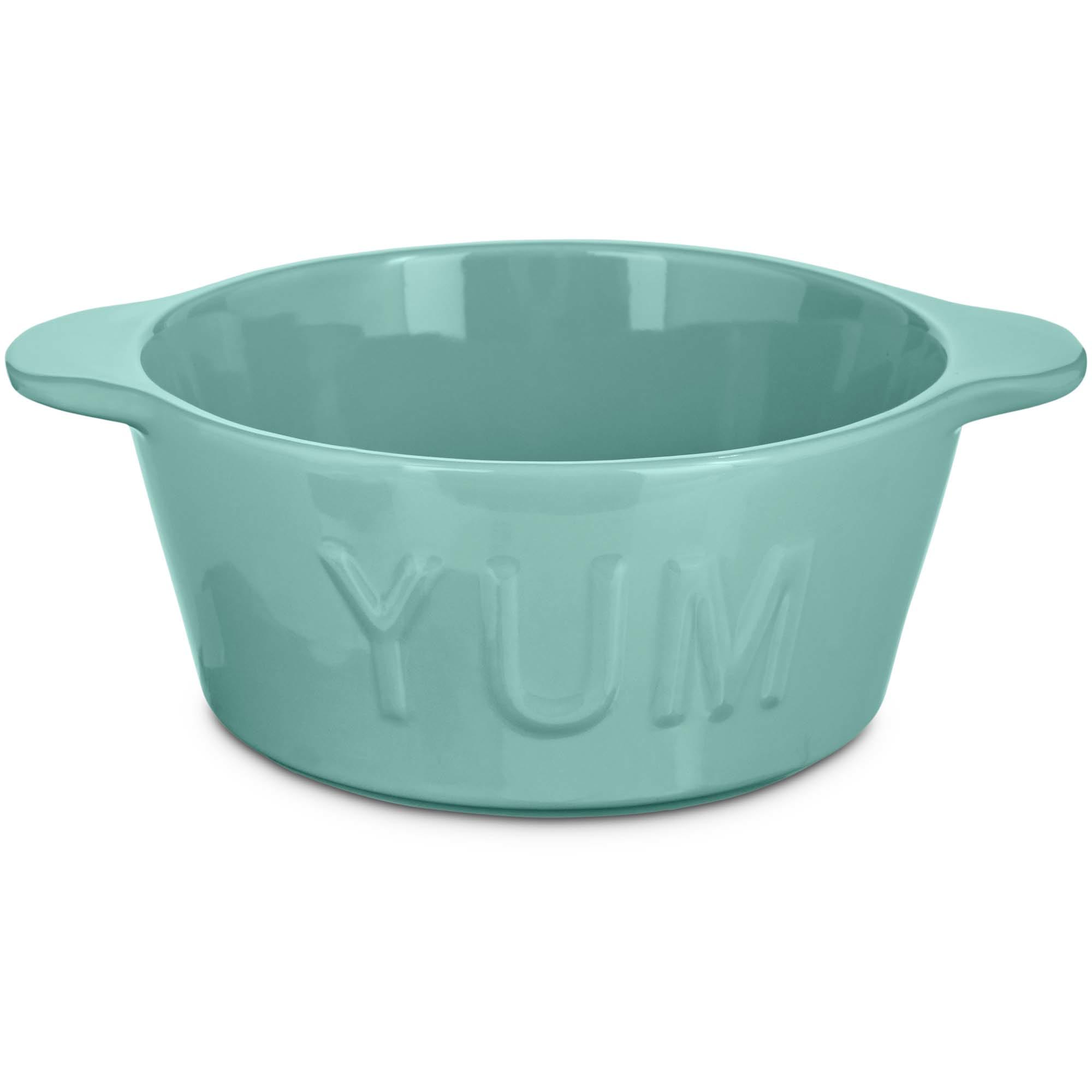 teal dog bowls