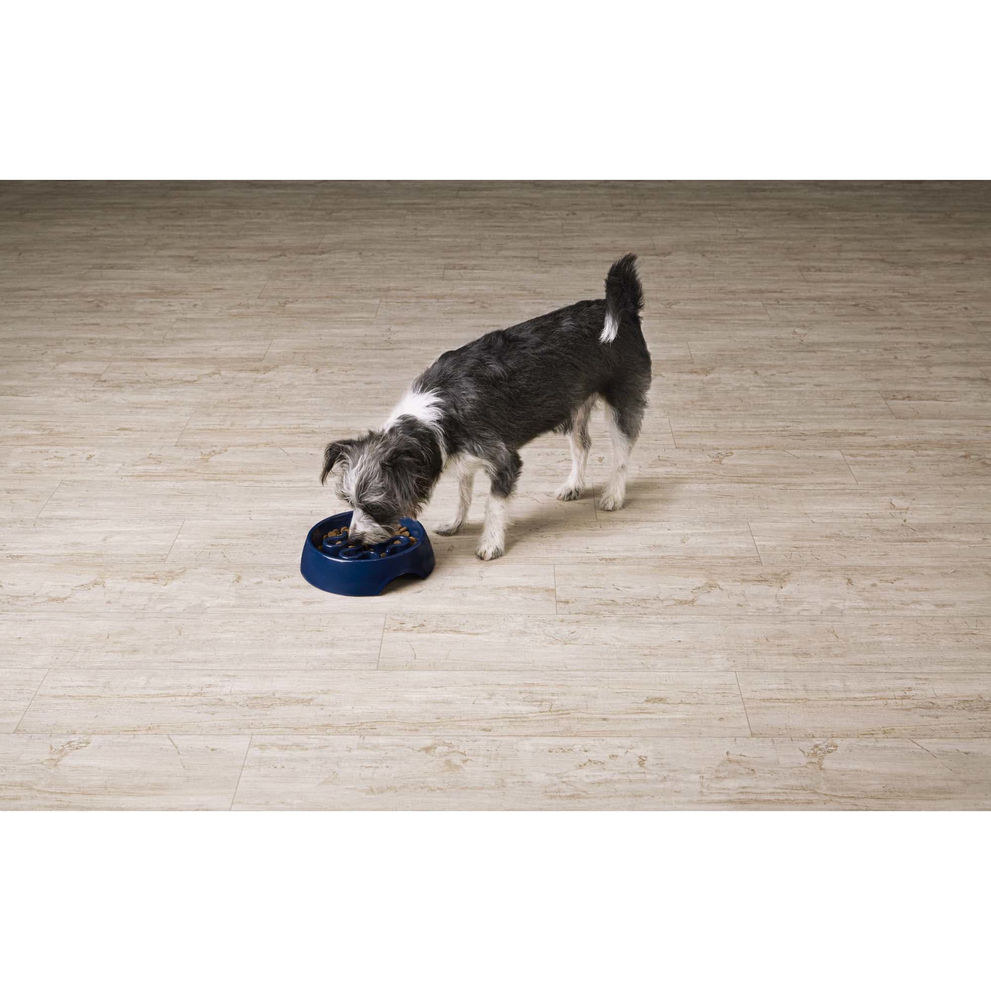 Harmony Navy Plastic Slow Feeder Dog Bowl | eBay