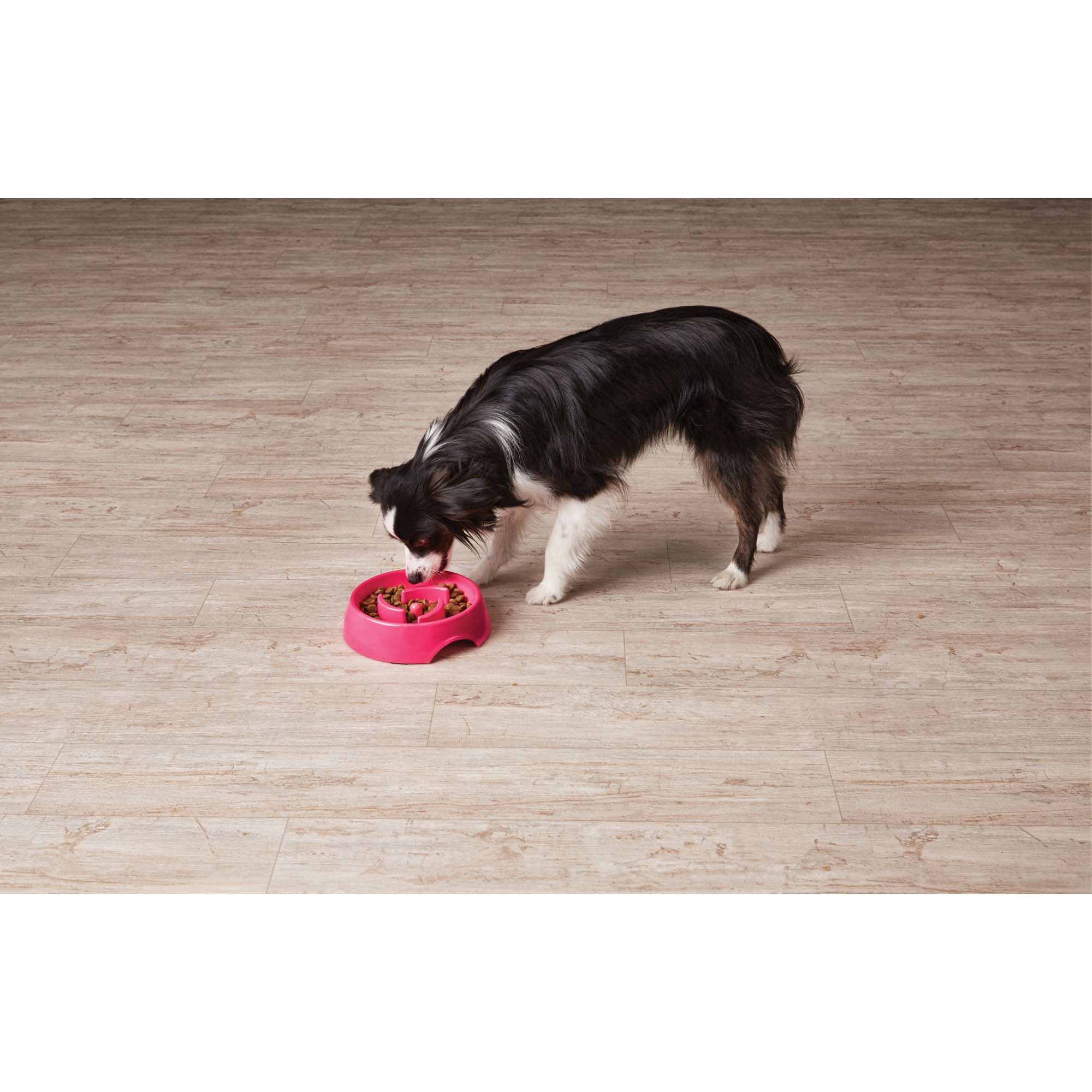 PawRoll Slow Feeder Dog Bowl – Paw Roll