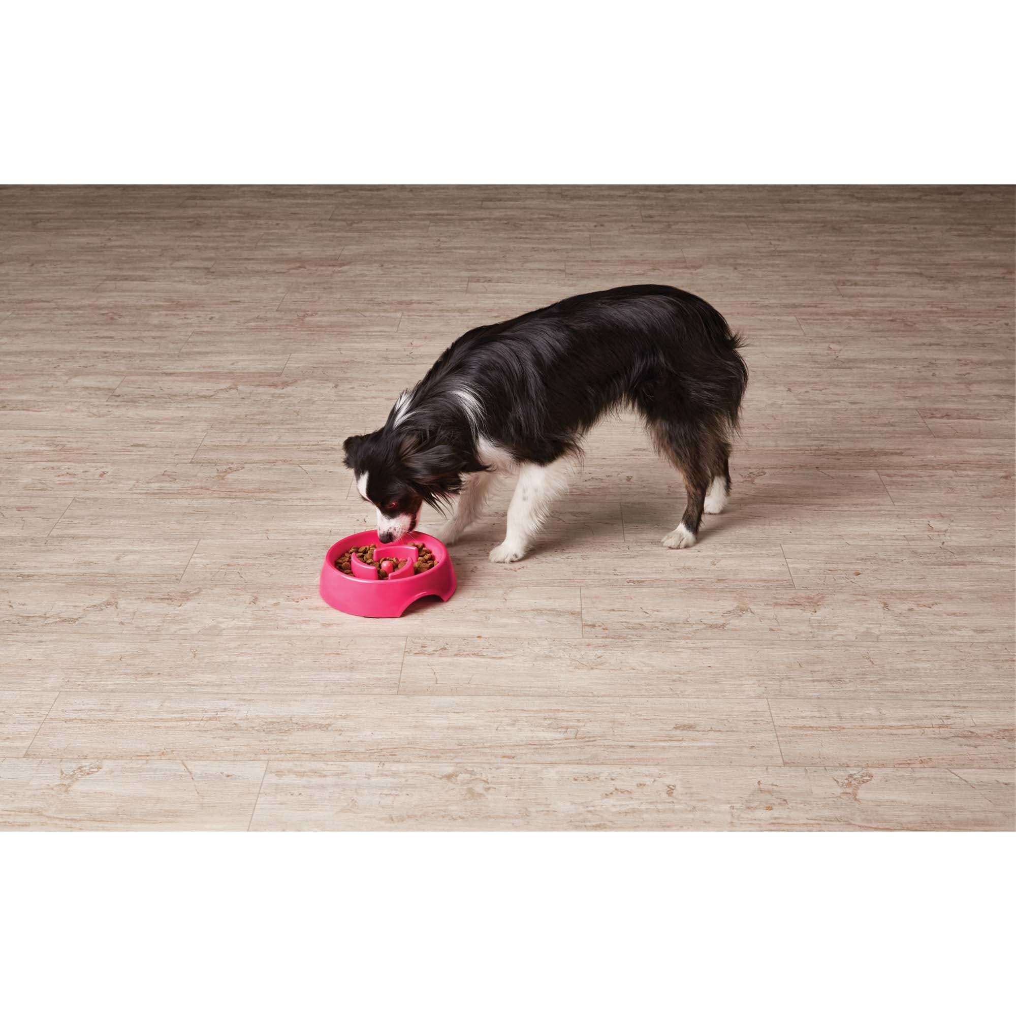 Harmony Pink Plastic Slow Feeder Dog Bowl, Large