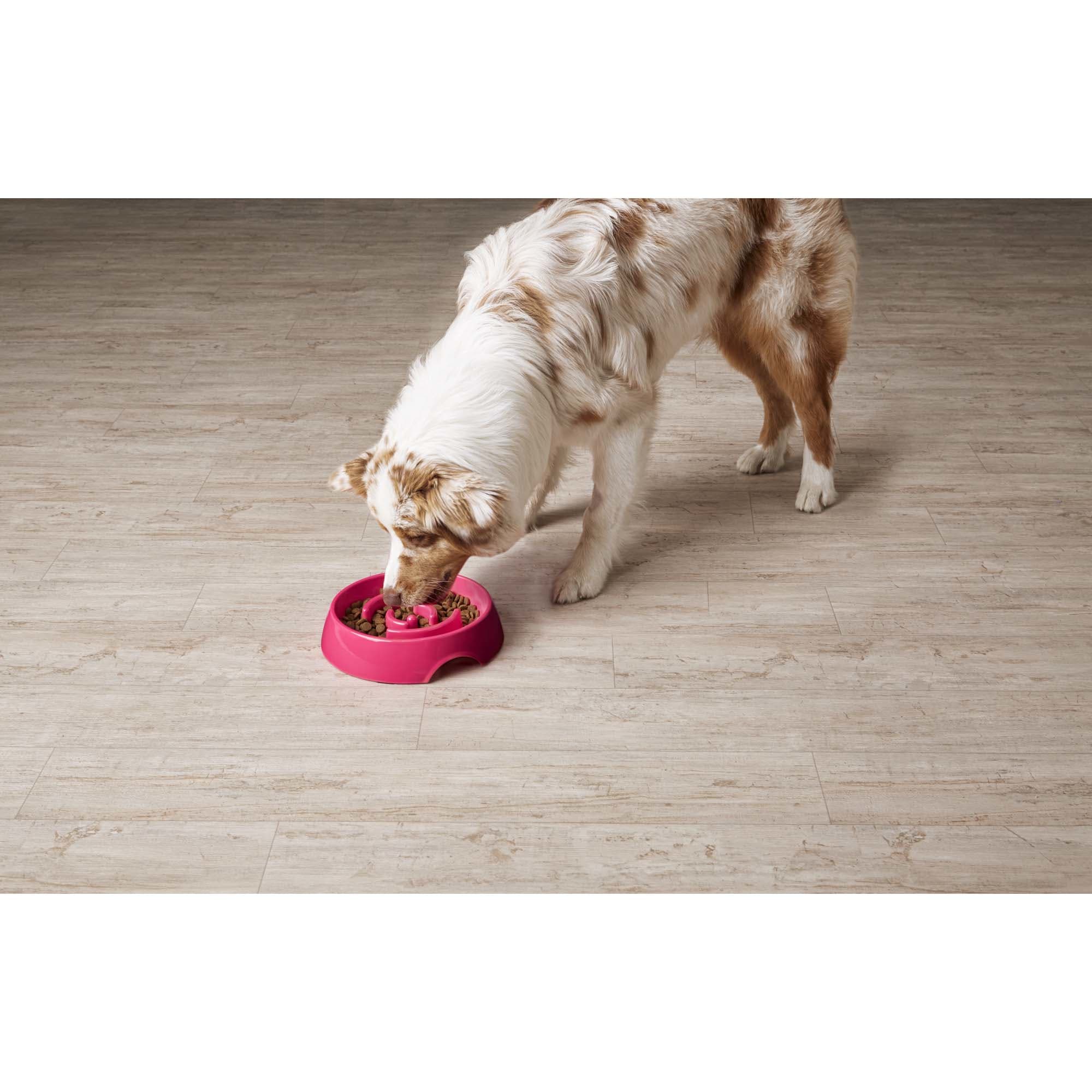 PawRoll Slow Feeder Dog Bowl – Paw Roll