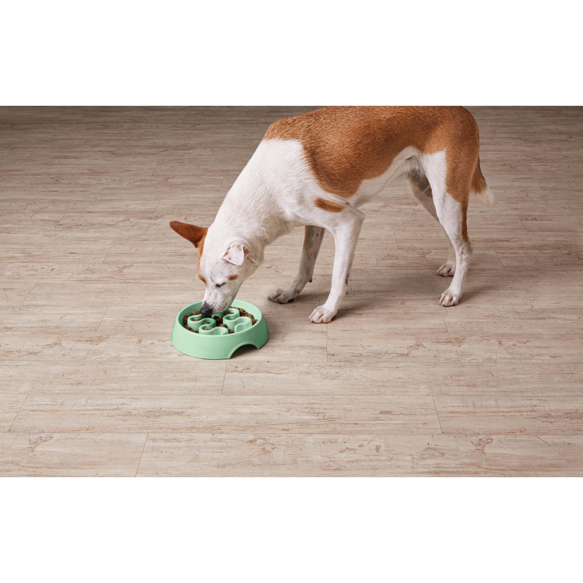 PET LIFE 40 oz. Tumbowl' Slow Feeding Pet Bowl in Green S14GN - The Home  Depot