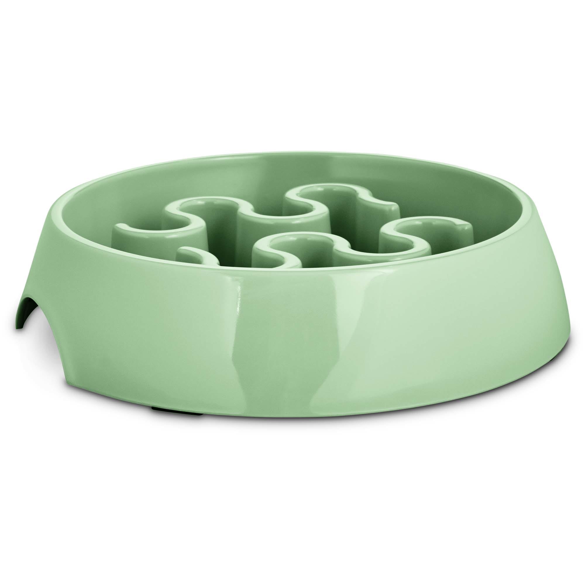 Harmony slow 2024 feeder dog bowl