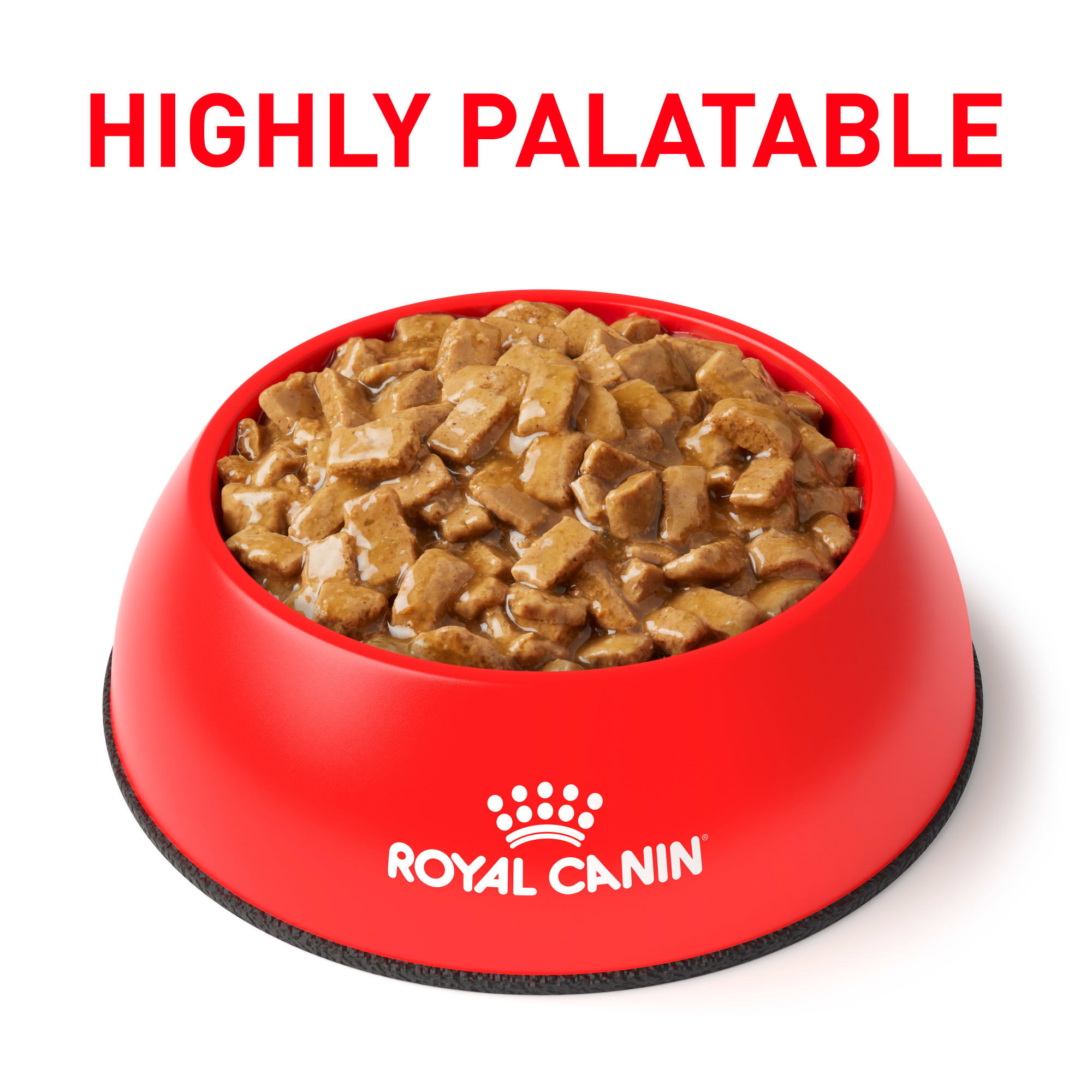 Royal canin renal clearance support wet dog food