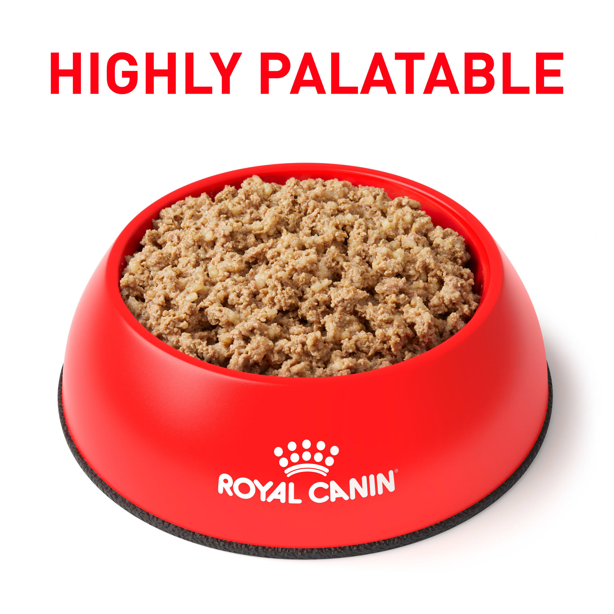 Royal canin gastrointestinal high energy sale canned dog food