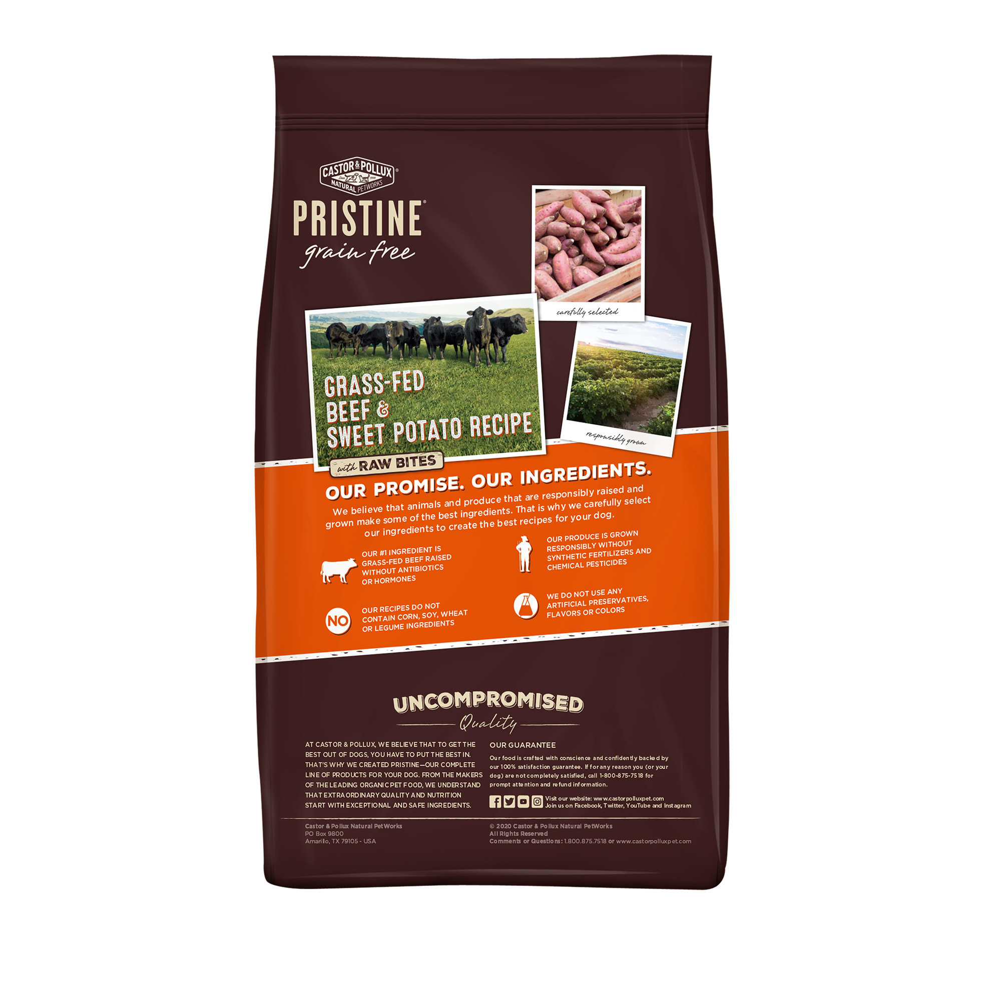 Pristine grain hotsell free dog food