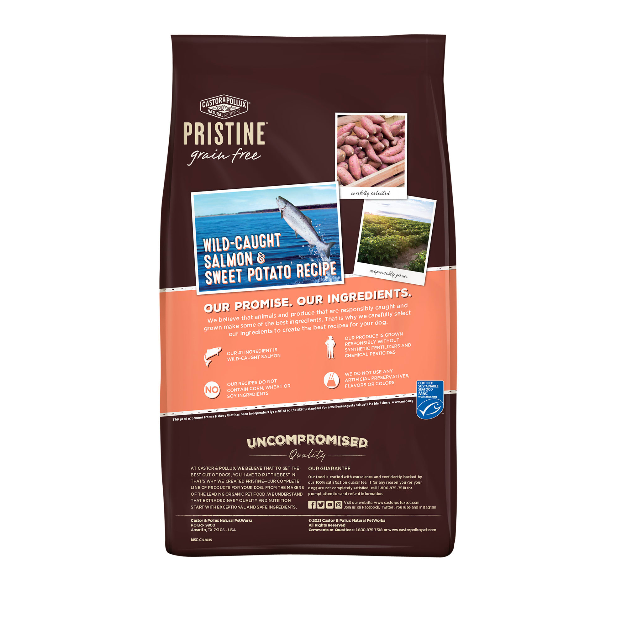 Castor and pollux shop salmon dog food