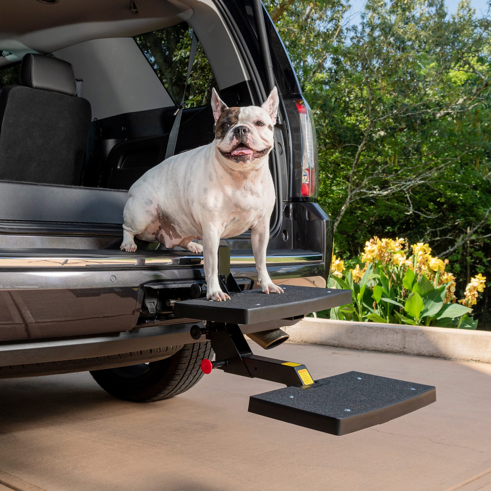 Dog step for car hitch best sale