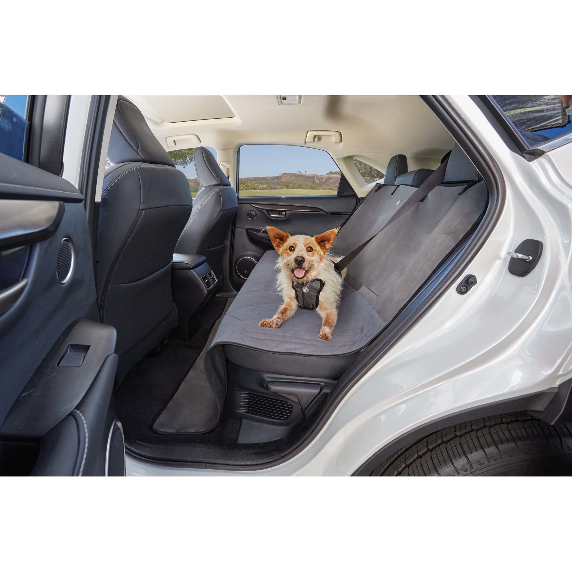 Dog car hotsell hammock petco