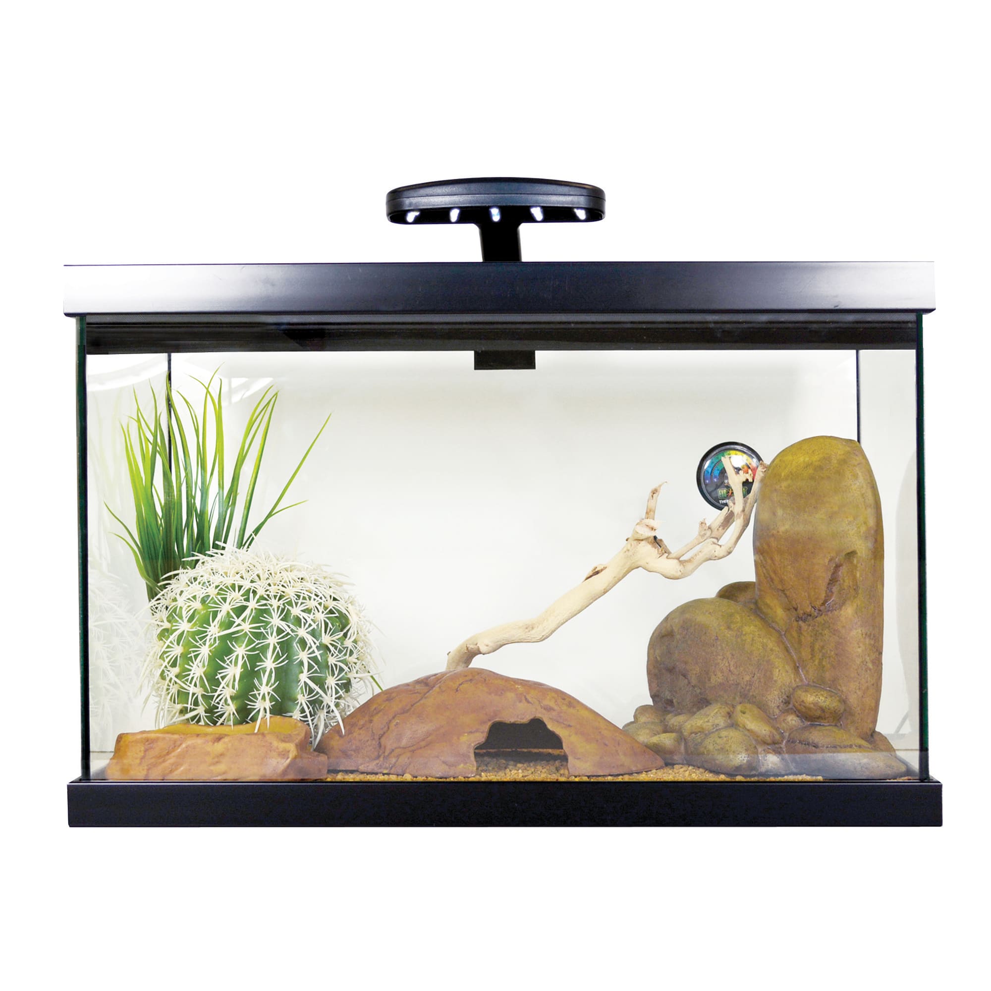 petco gecko tank