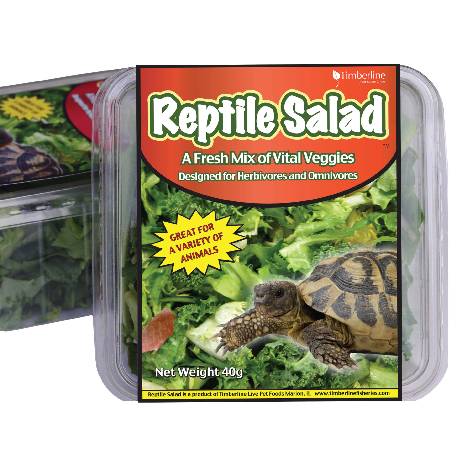 reptile foods