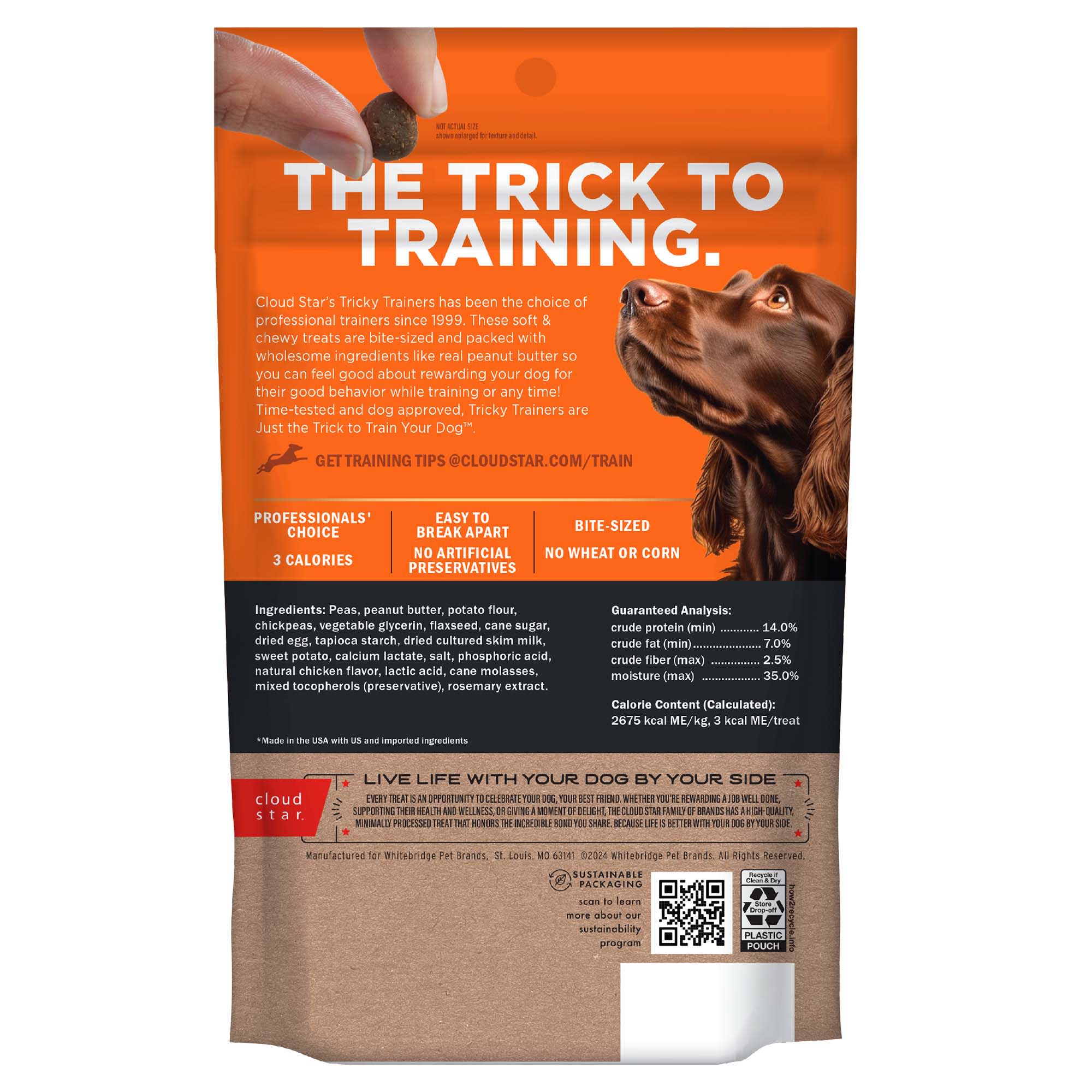 Cloud Star Tricky Trainers Peanut Butter Soft Chewy Dog Treats