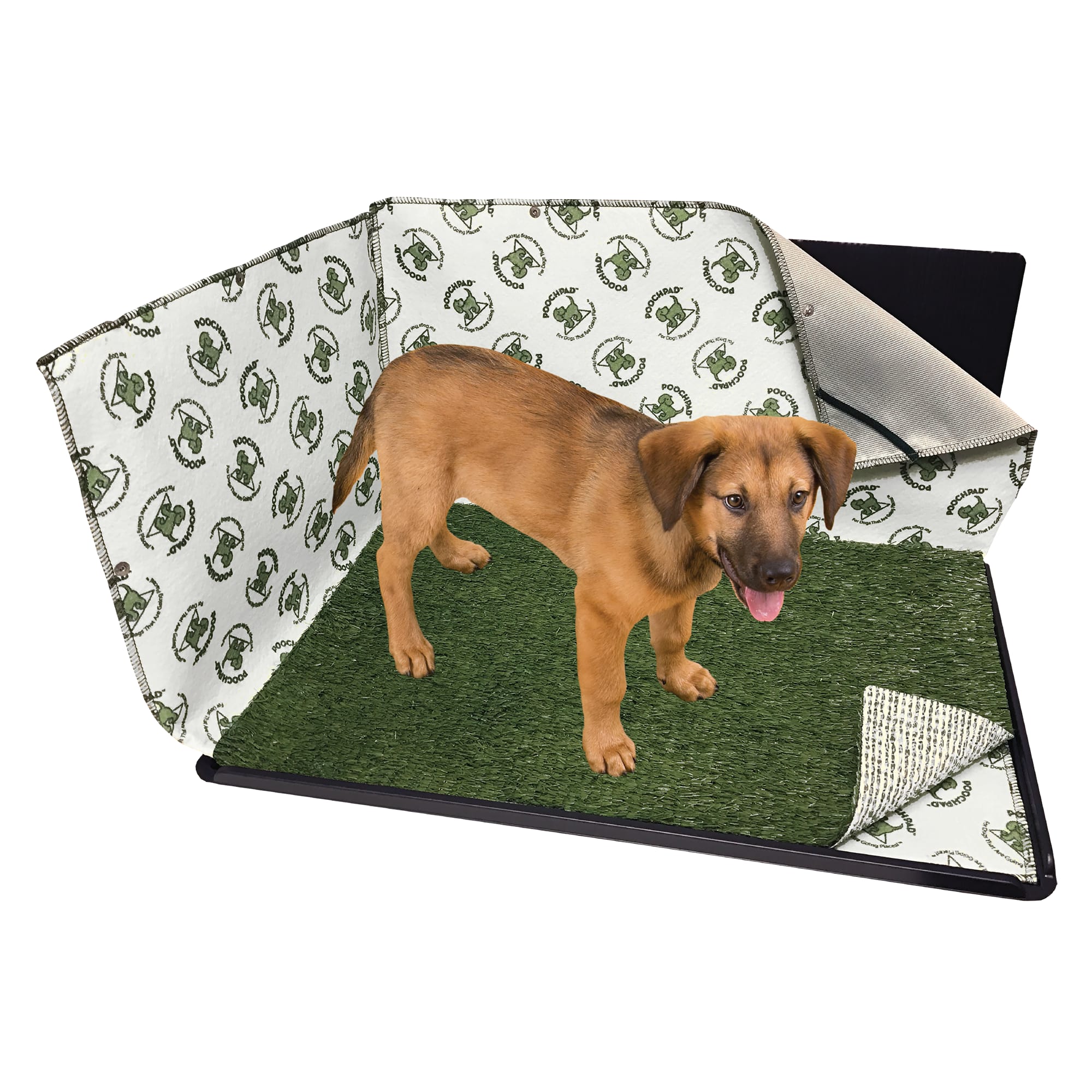 Indoor pet potty shop for large dogs