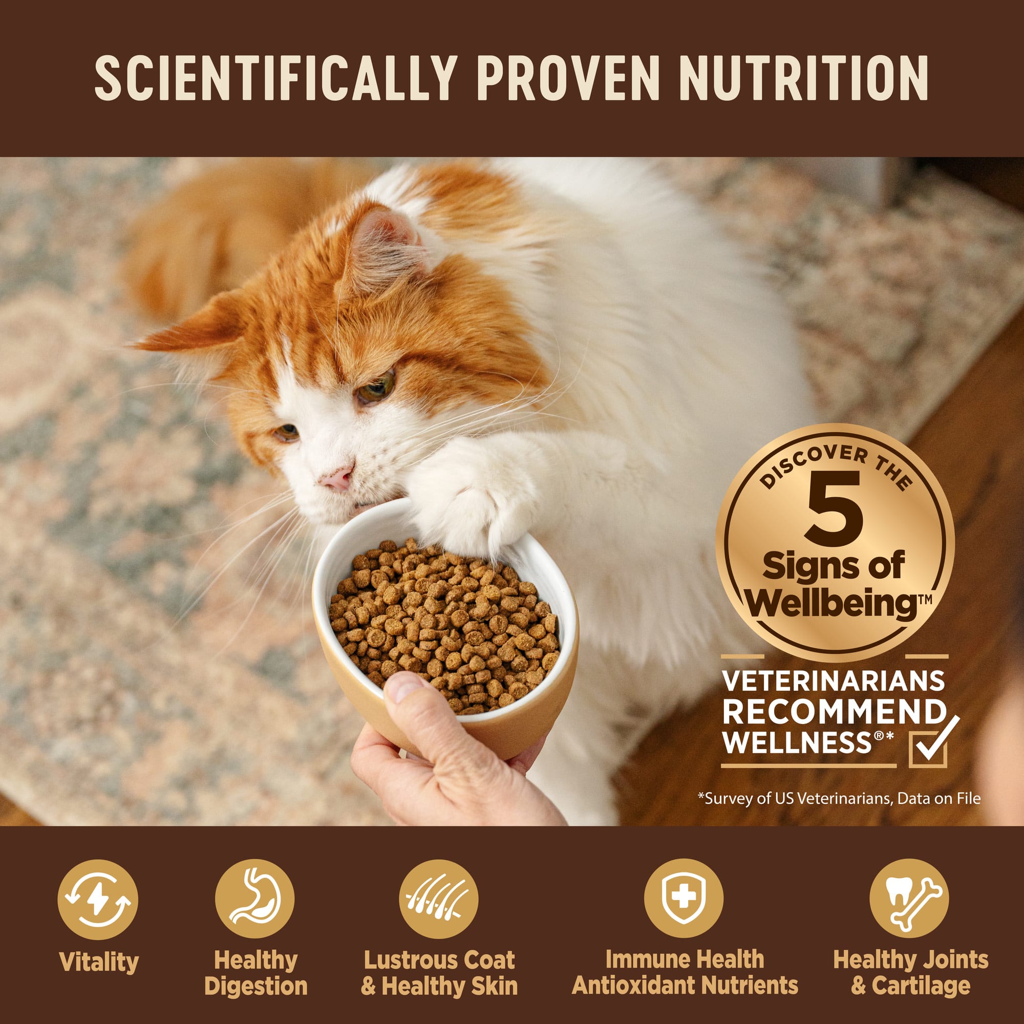 Wellness CORE Natural Grain Free Original Turkey, Turkey Meal, and Chicken Meal Dry Cat Food,