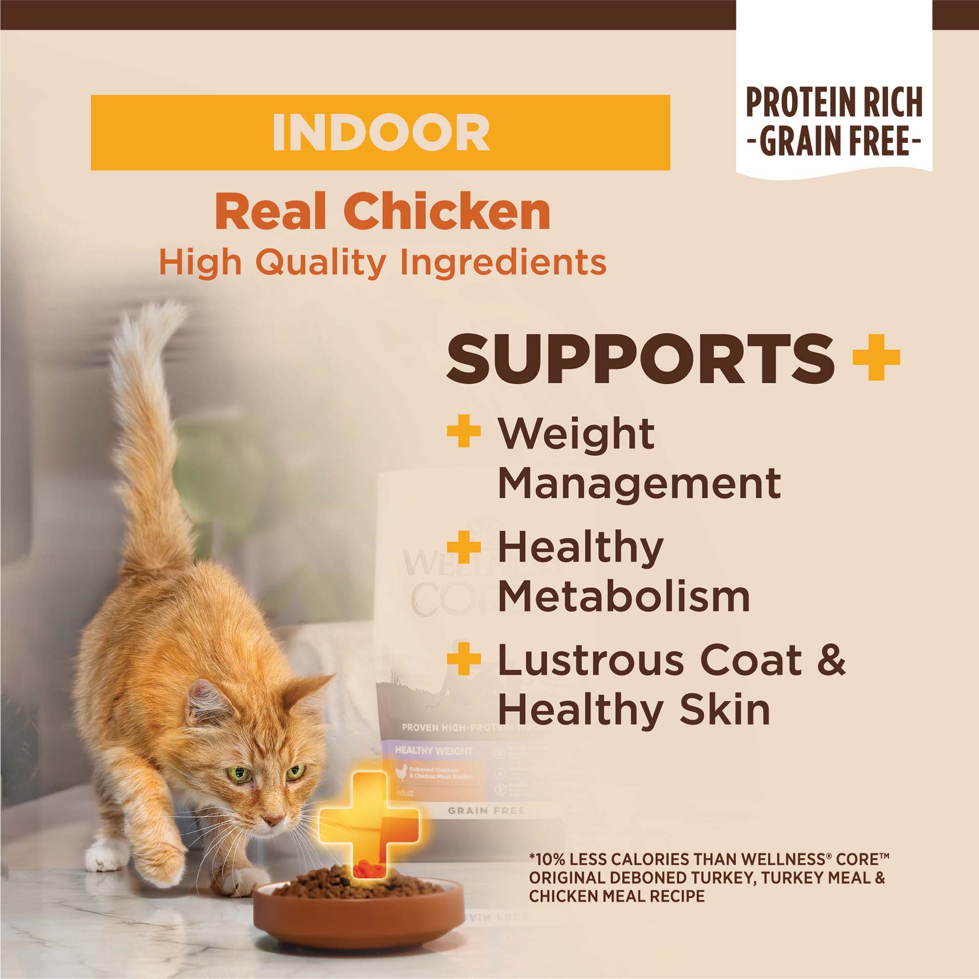 Petco crave outlet cat food