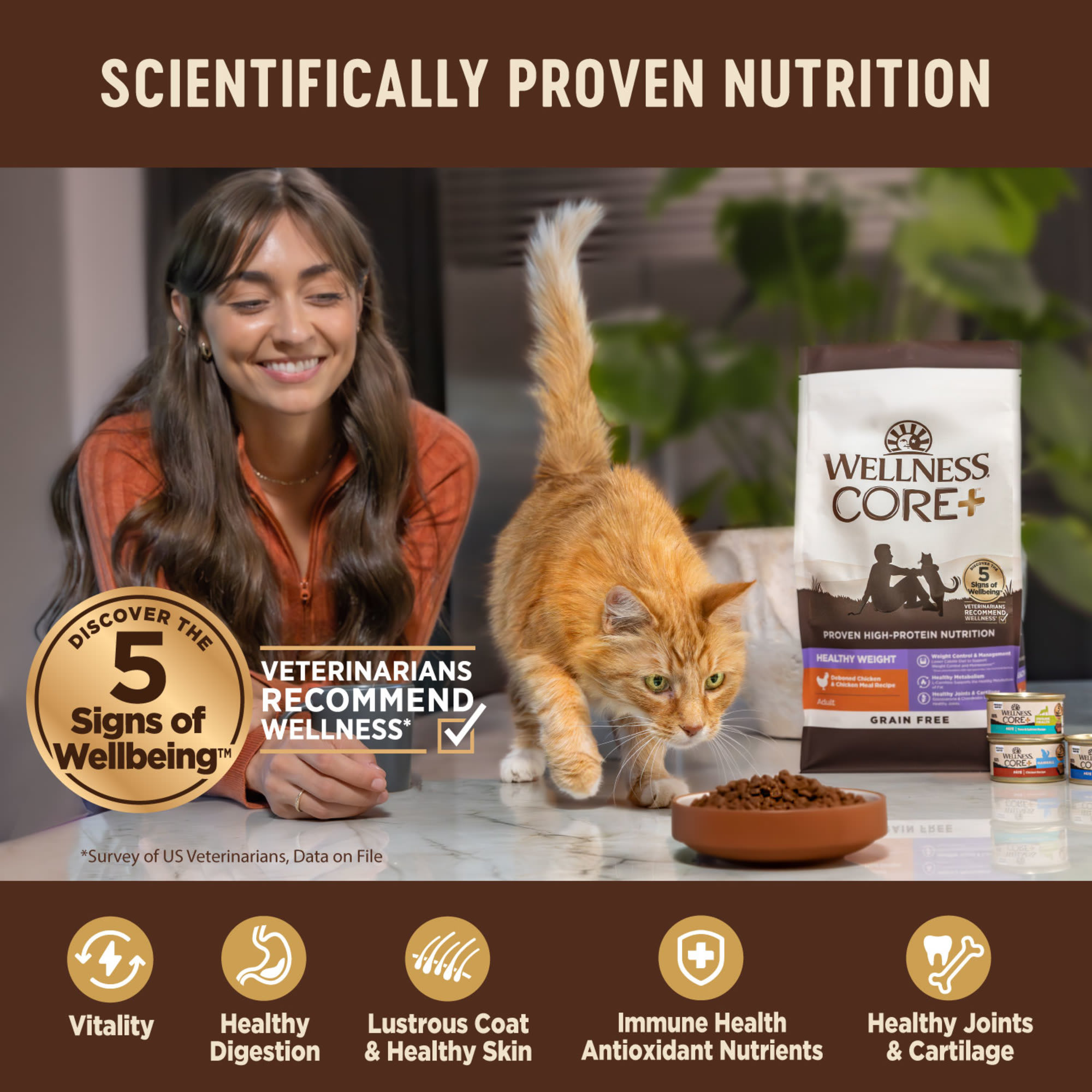 Petco wellness core cat food best sale