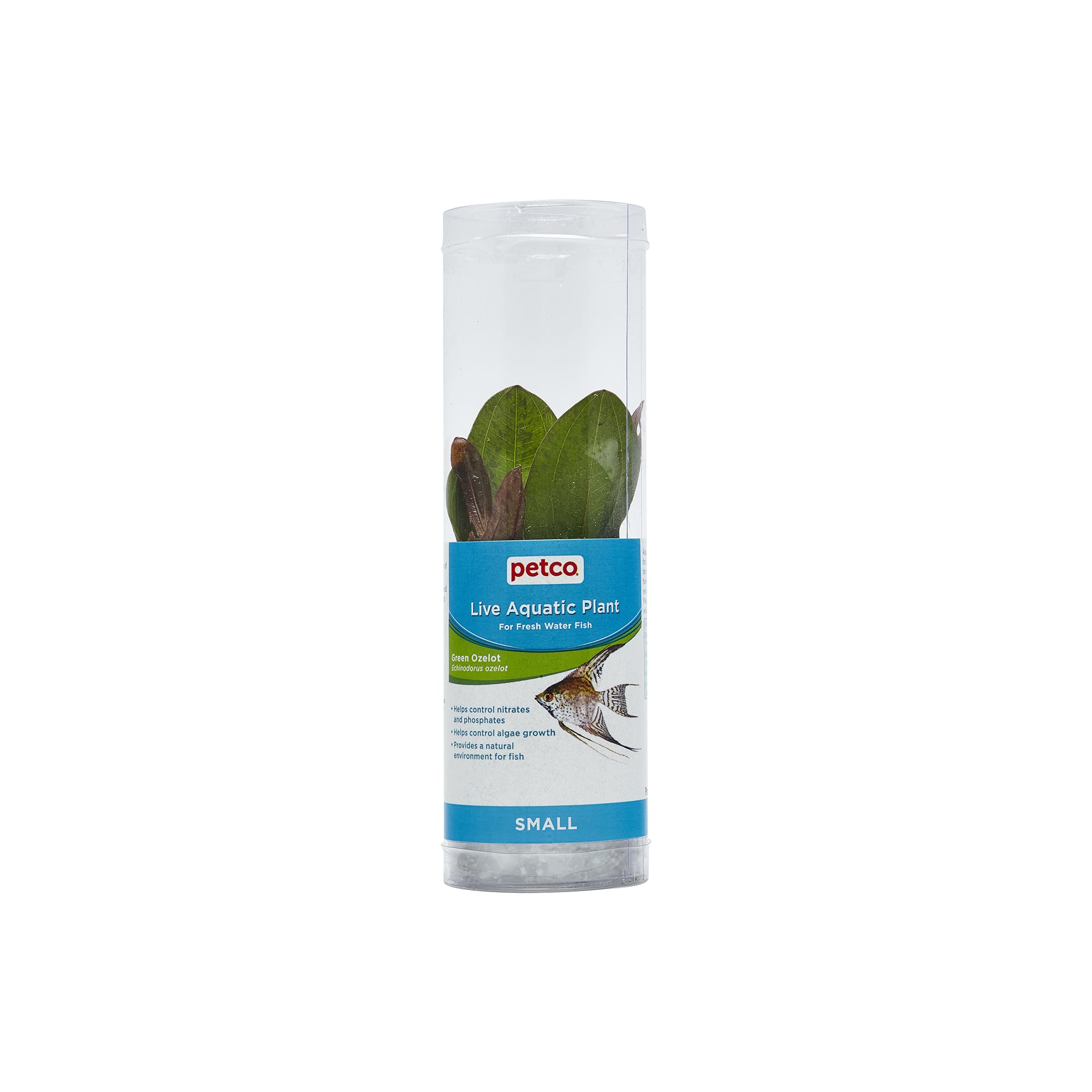 Petco fashion live freshwater plants