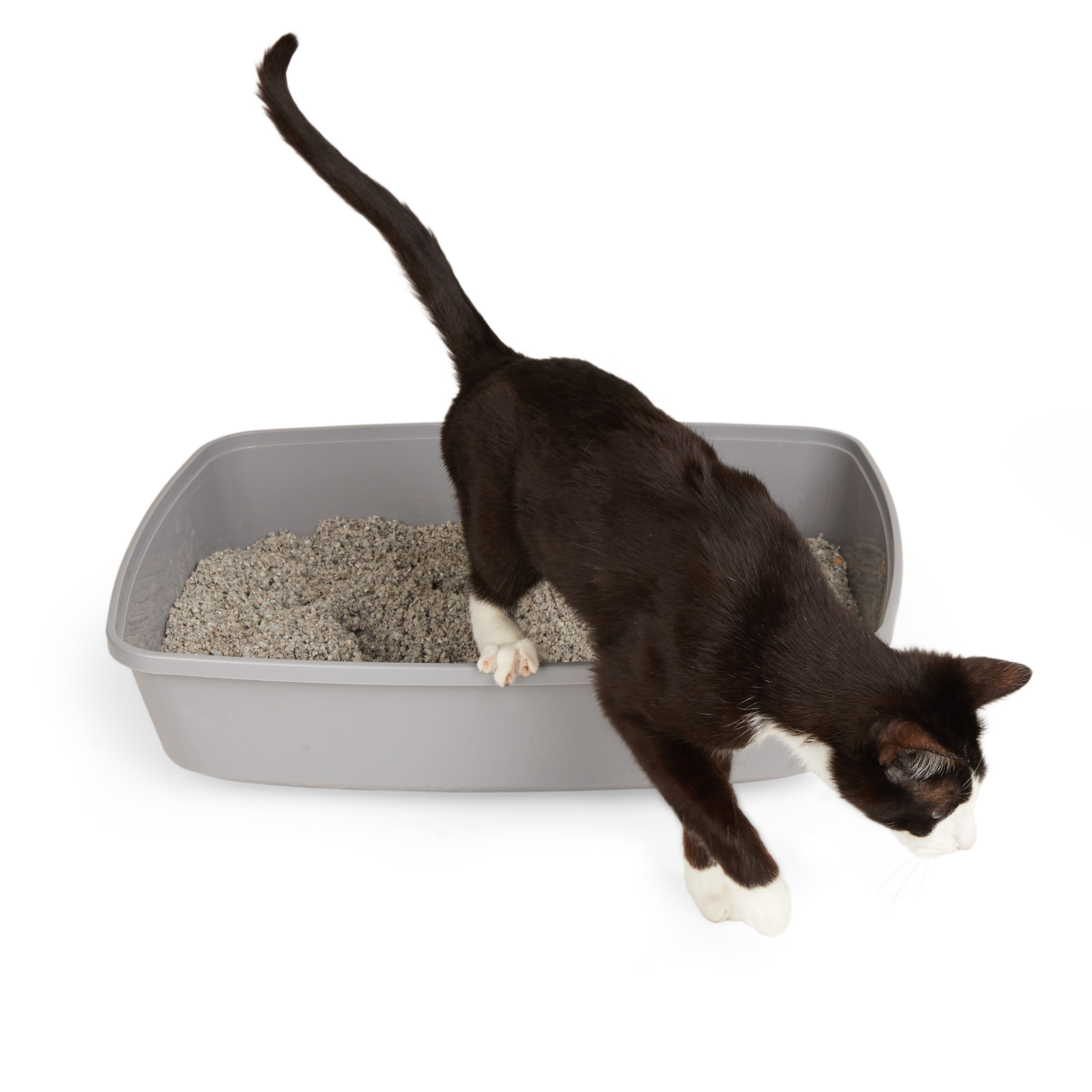 So Phresh Top-Entry Litter Box, 23.23 H x 15.5 W x 15.13 L