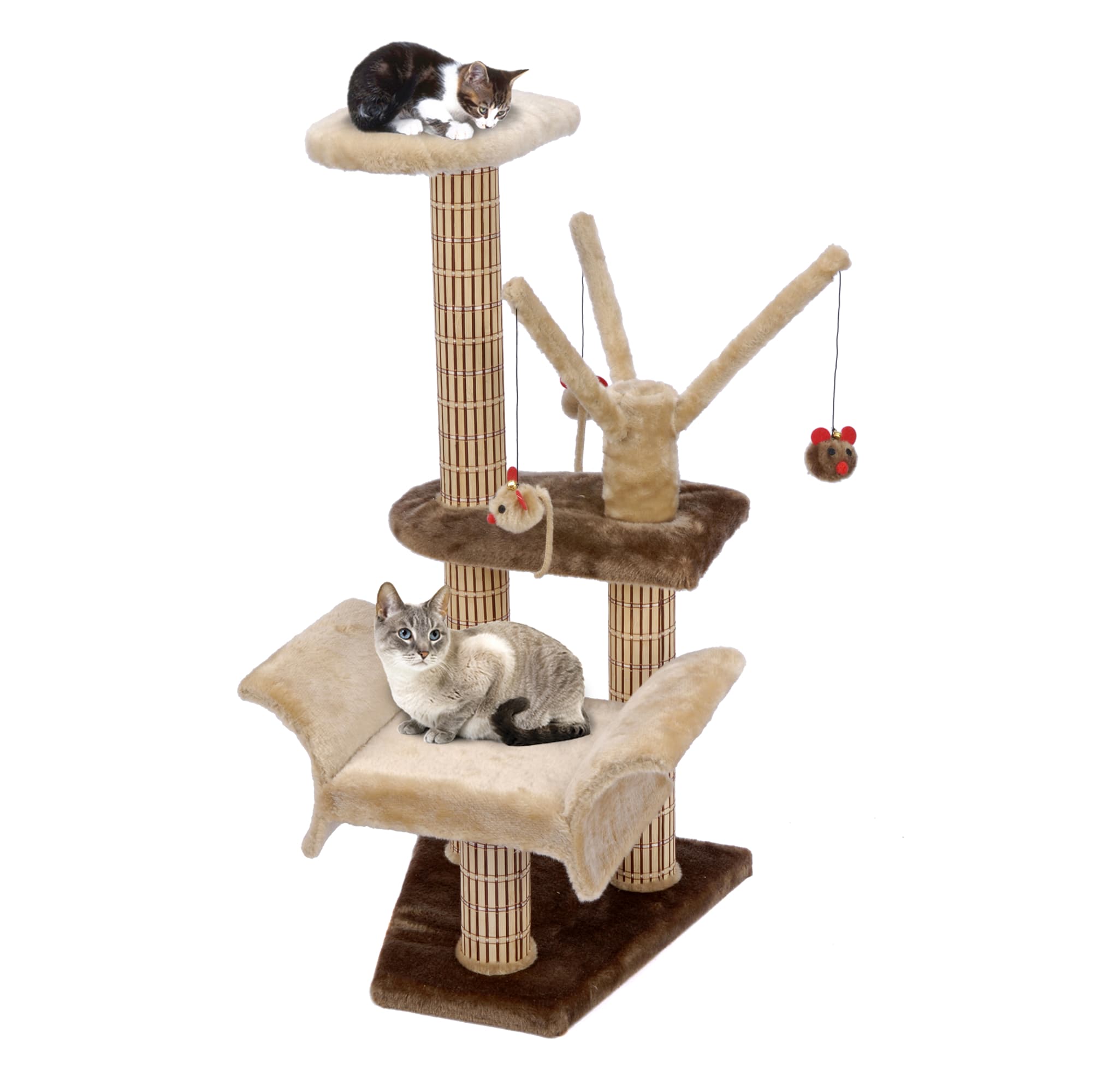 cat activity center