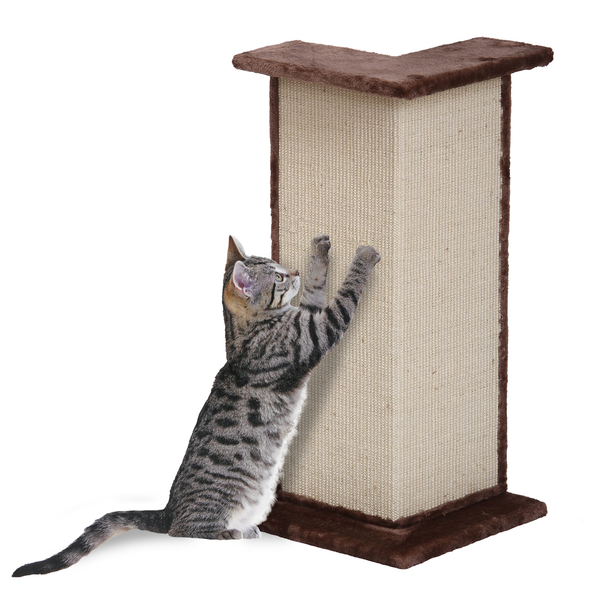 Wall scratcher shop for cats