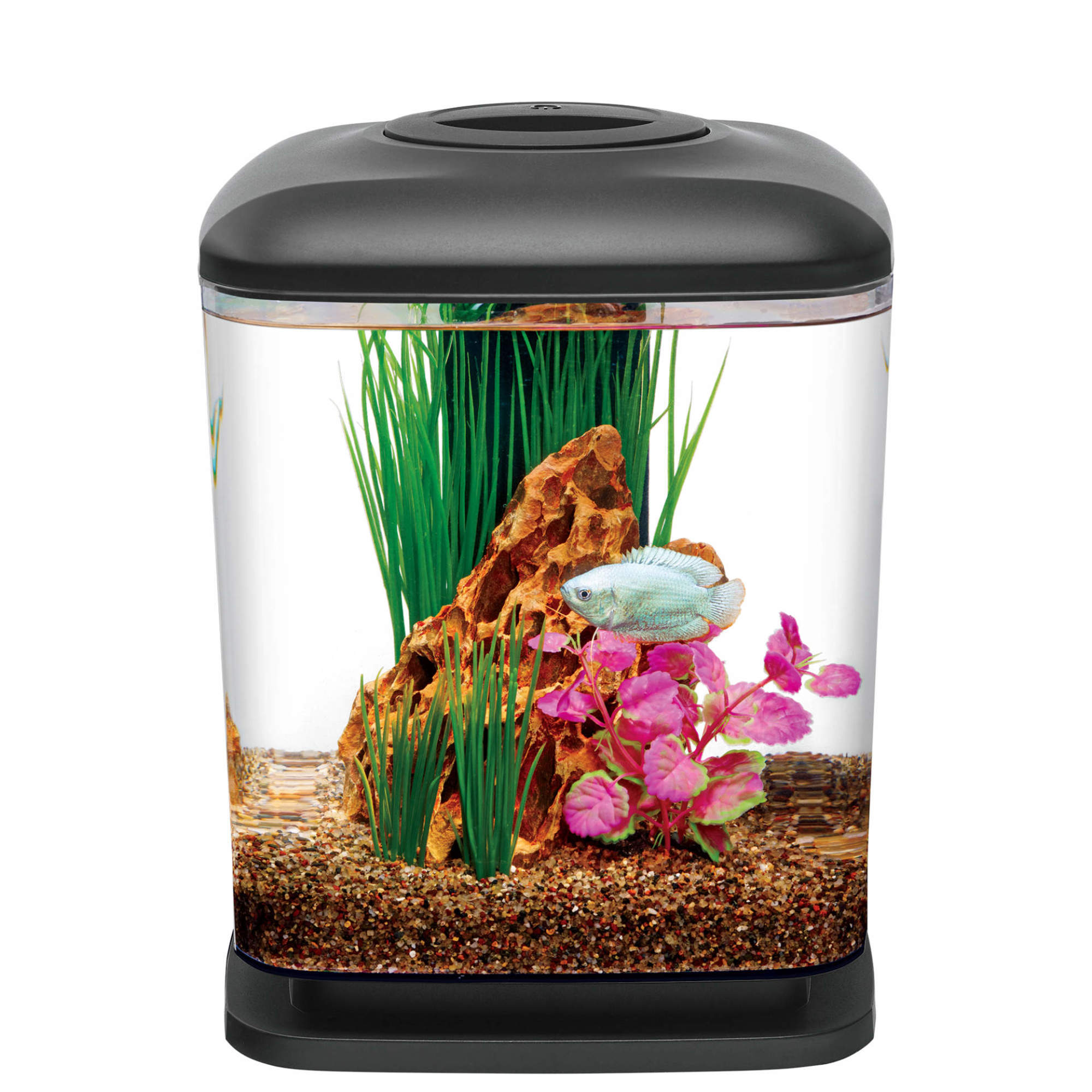 saai Schaken massa Aqueon 1.6 Gallon LED Mini Cube Kit | Petco