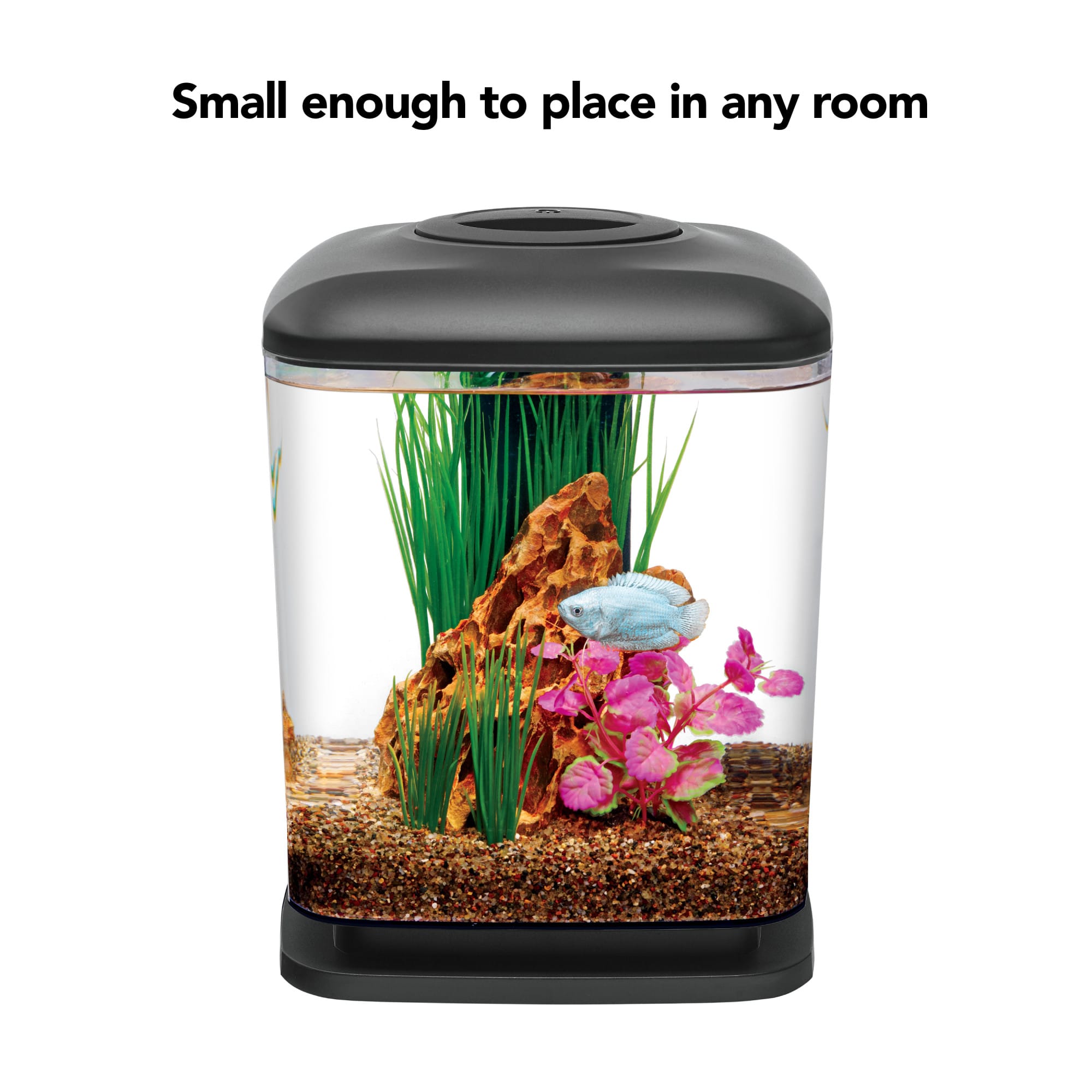 Aqueon LED Mini Cube Kit 1.6 Gallon Petco