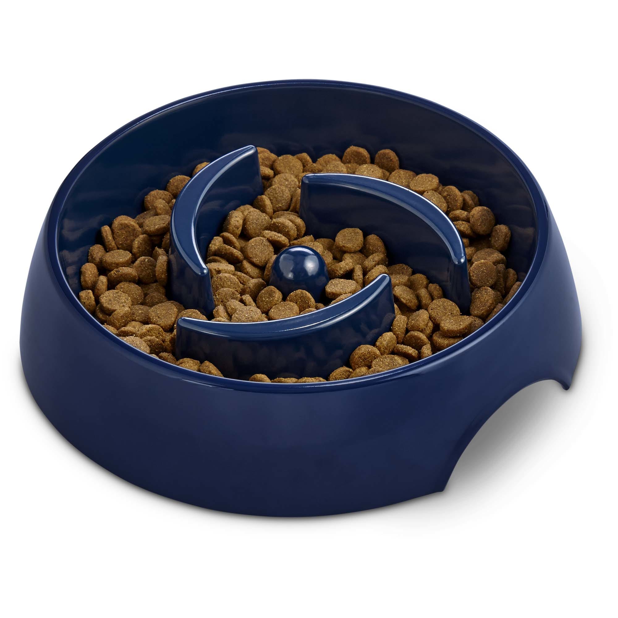 automatic dog feeder petco