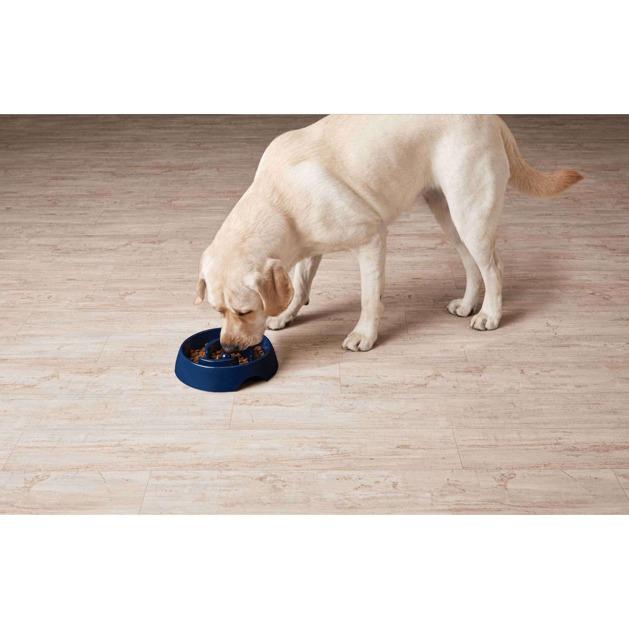 HARMONY Navy Plastic Slow Feeder Dog Bowl 