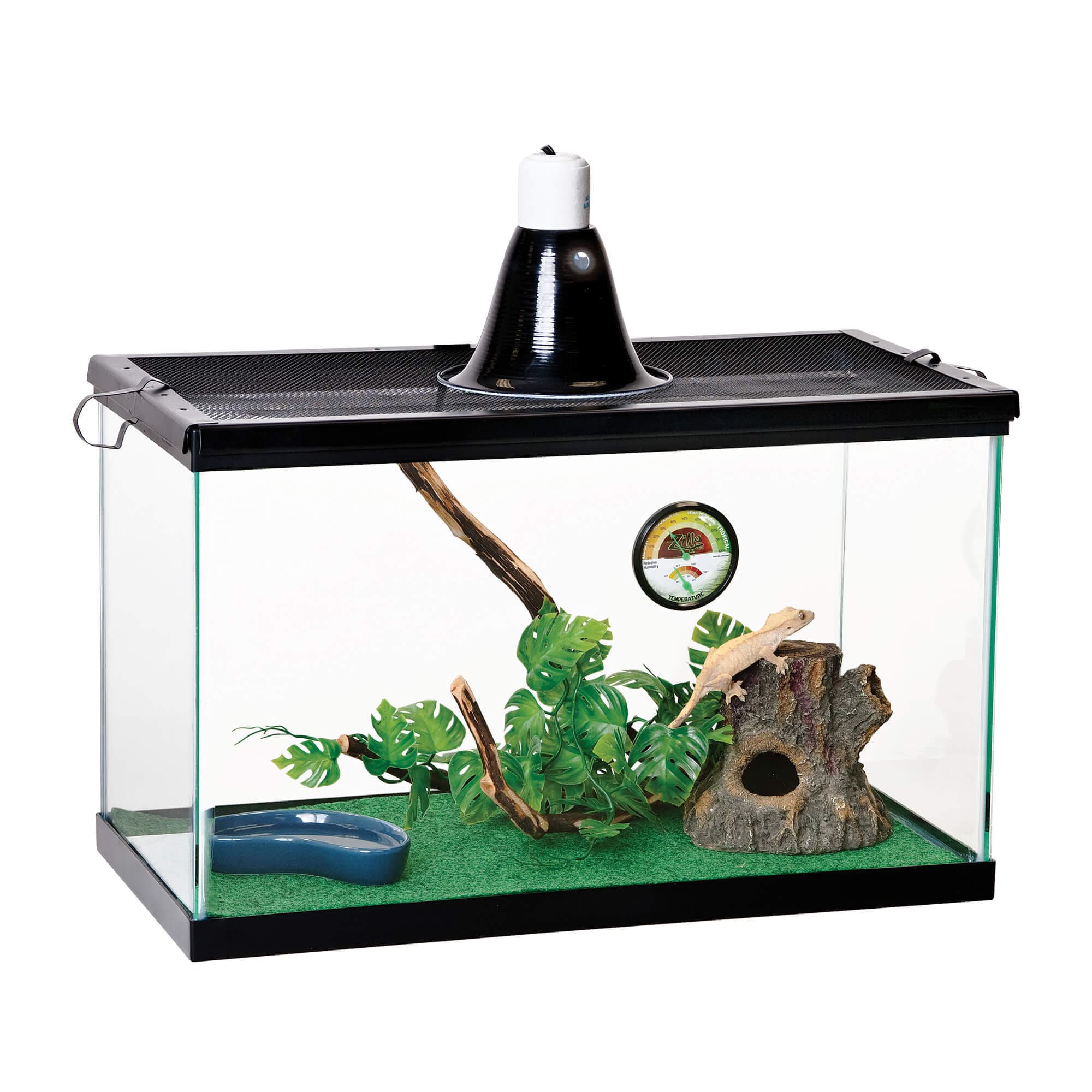 Petco starter sale fish tank