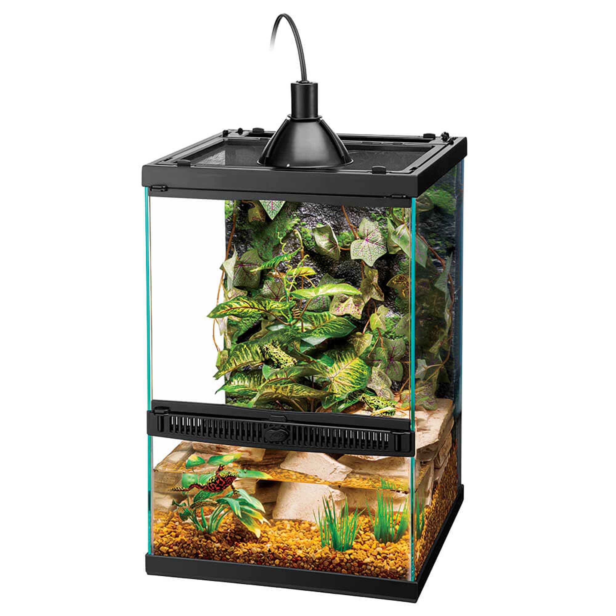 Petco chameleon hot sale cage